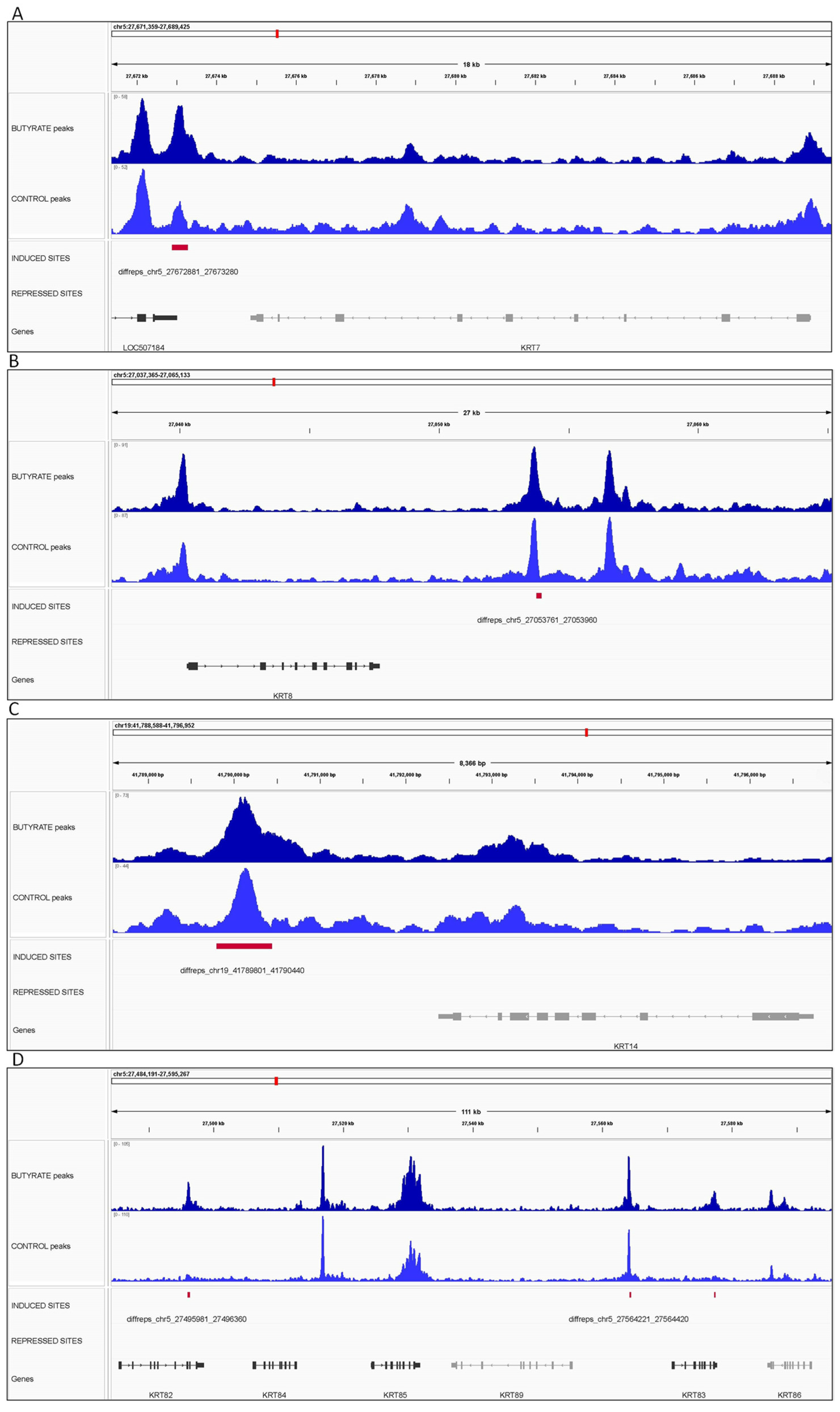 Biomolecules 12 01177 g007 Biomolecules 12 01177 g007