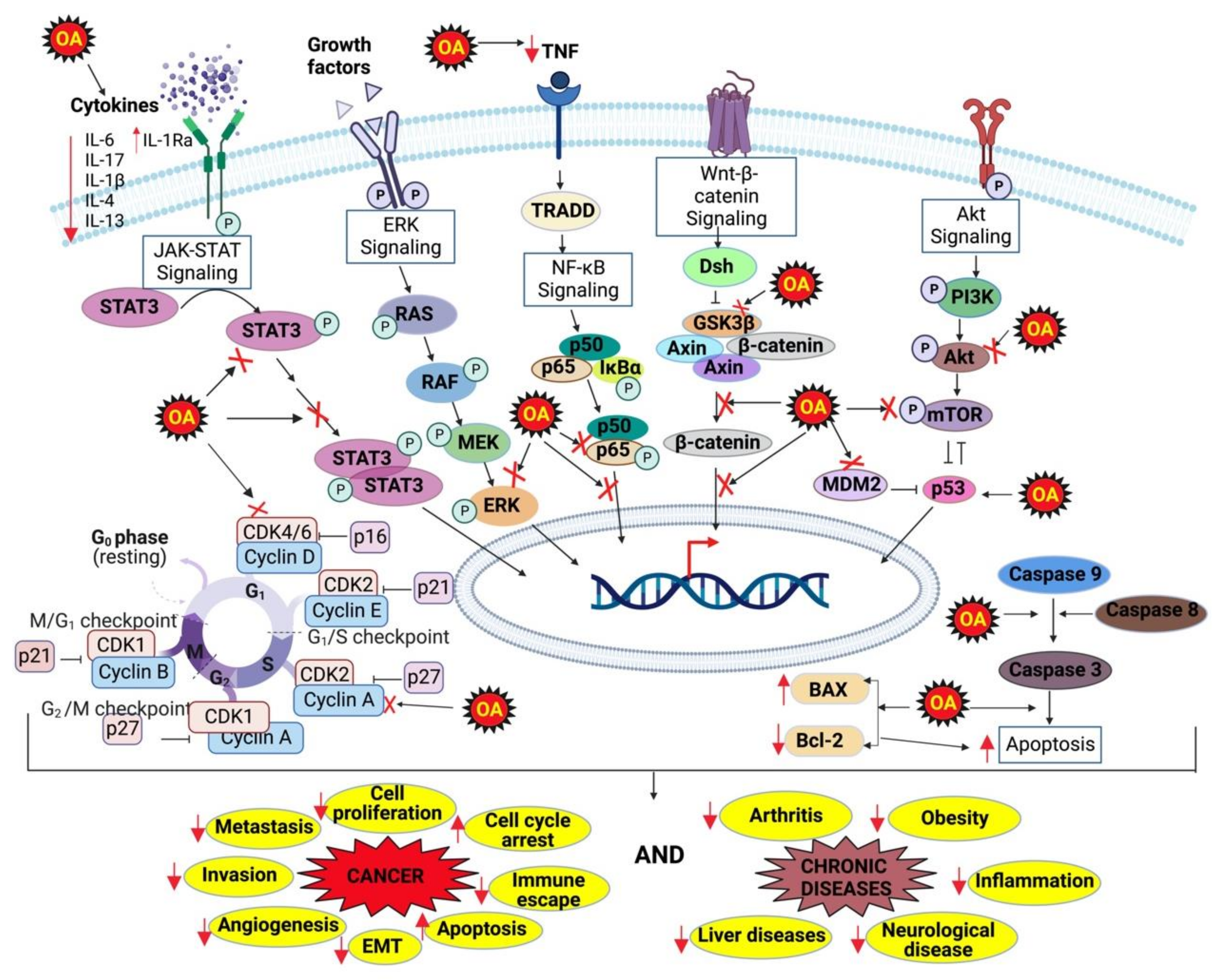 Biomolecules 12 01185 g002 Biomolecules 12 01185 g002