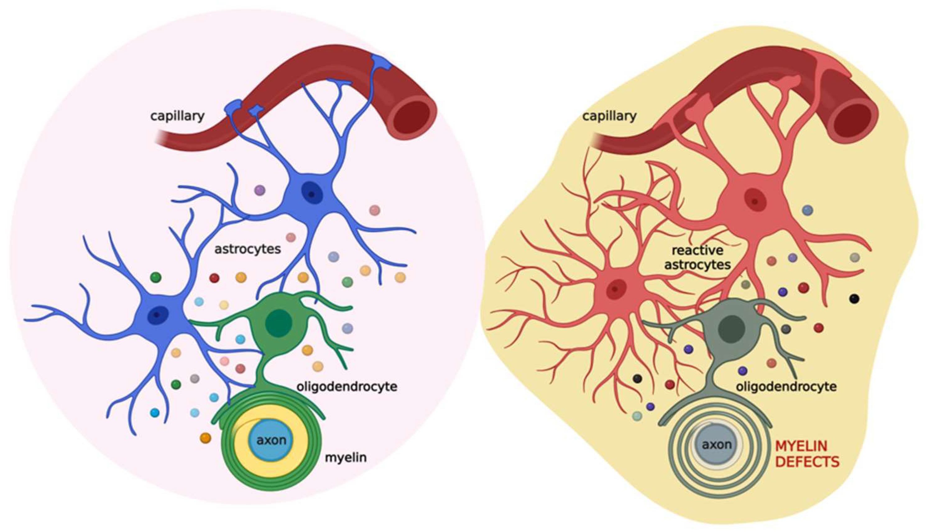 Biomolecules 12 01191 g003