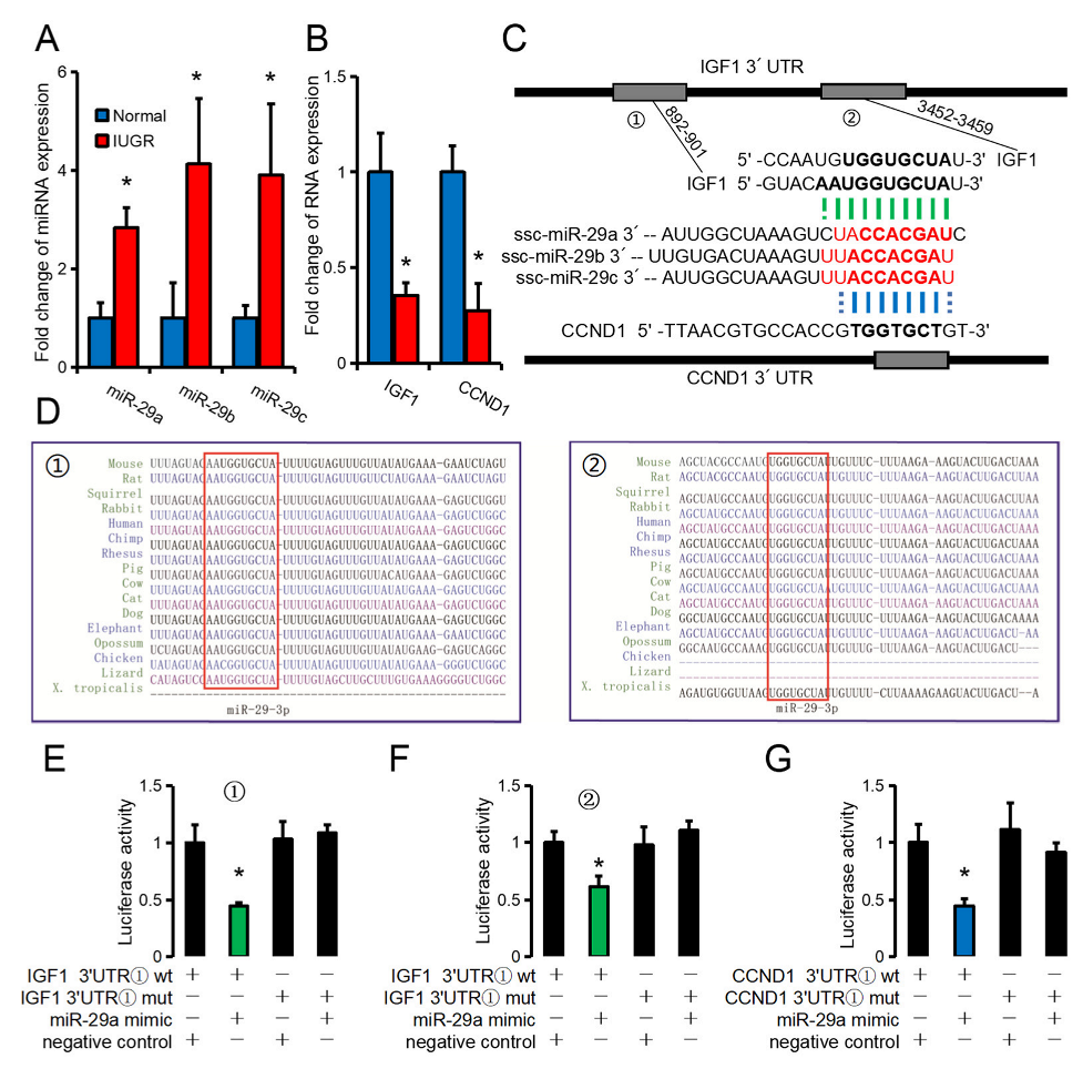 Biomolecules 12 01193 g006