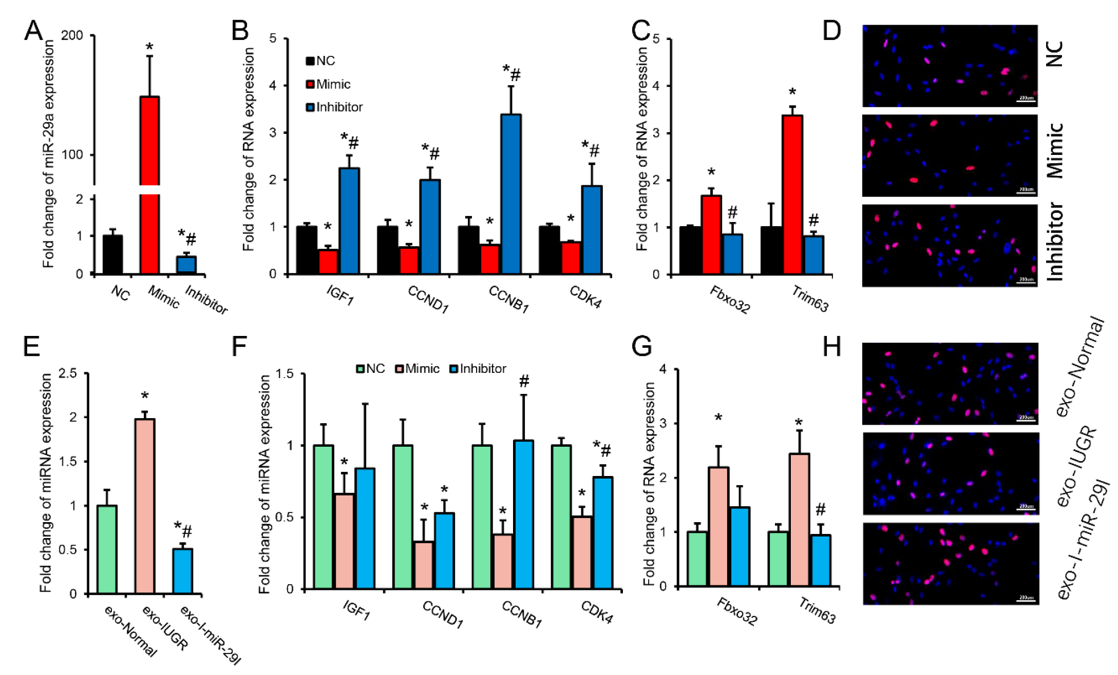 Biomolecules 12 01193 g007