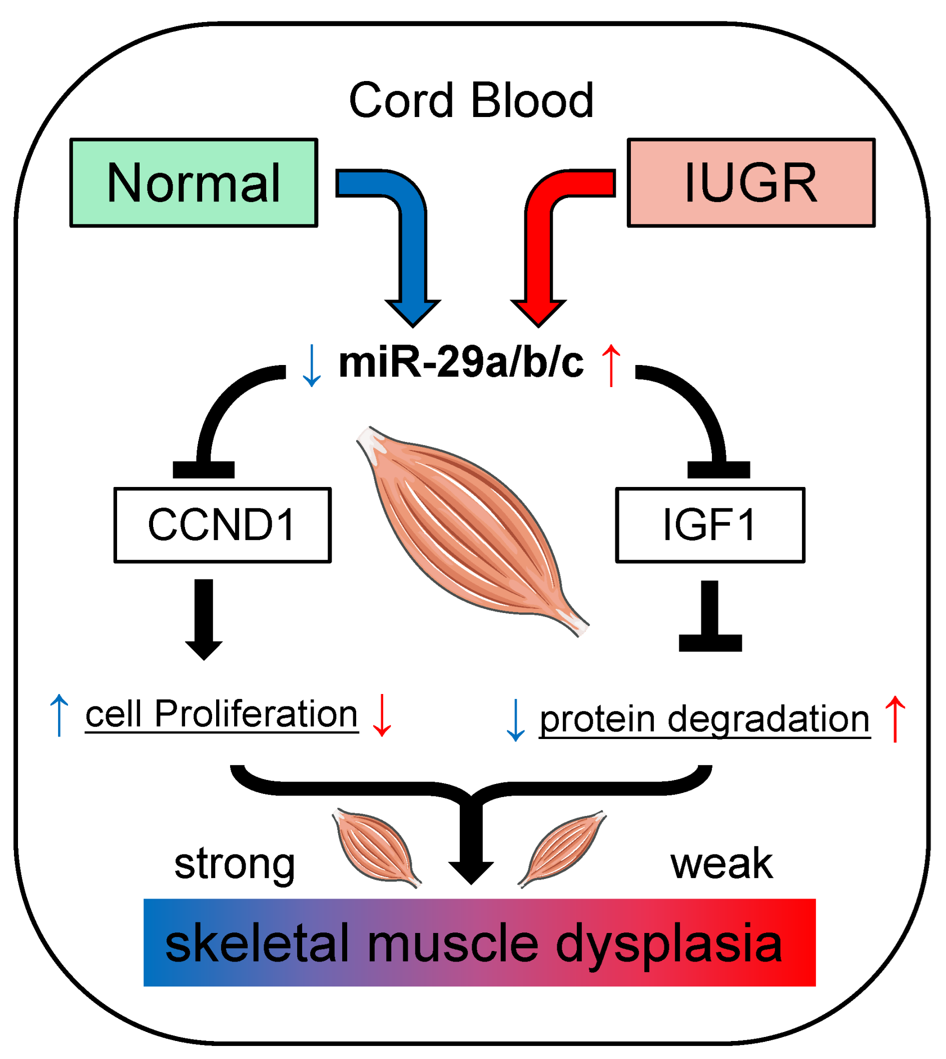 Biomolecules 12 01193 g008