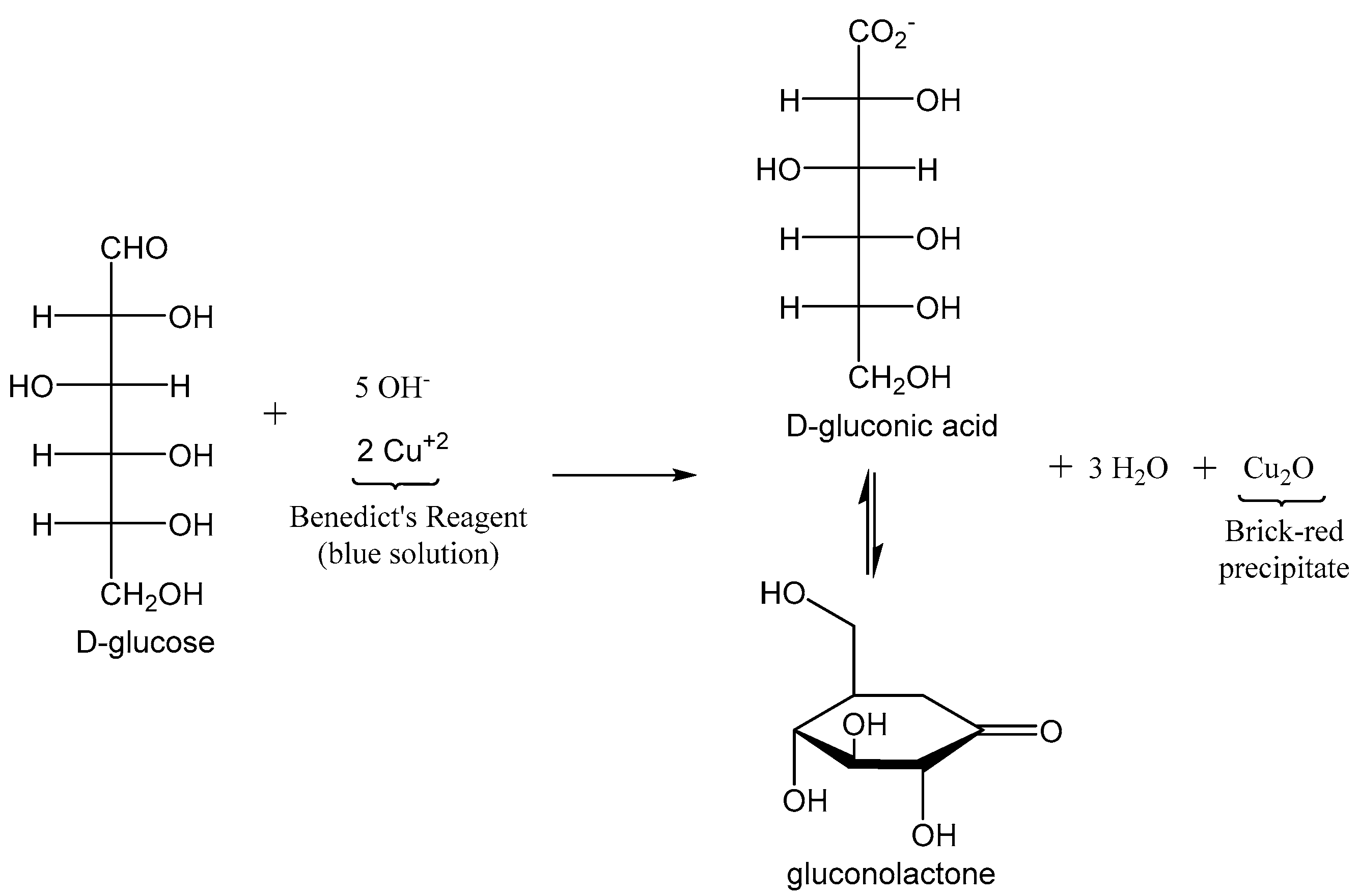 Biomolecules 12 01198 g001