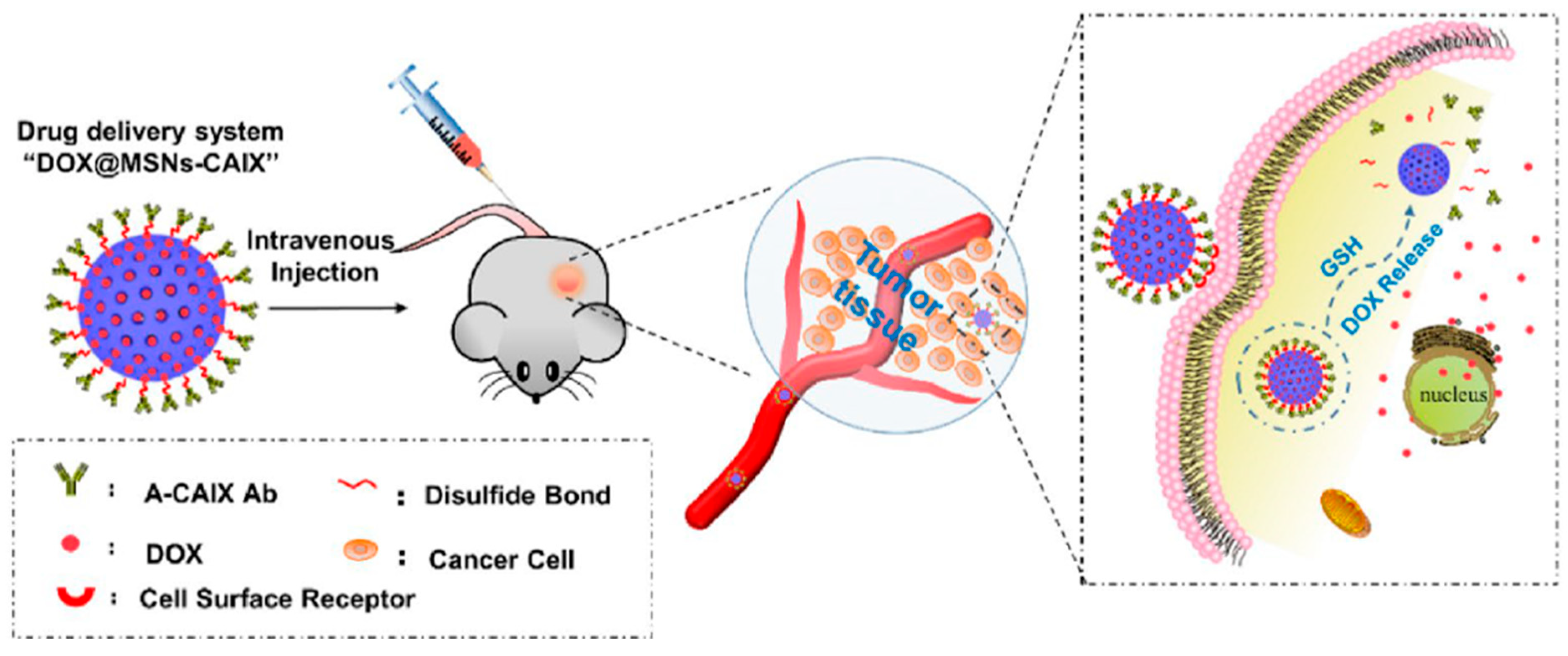 Biomolecules 12 01198 g004
