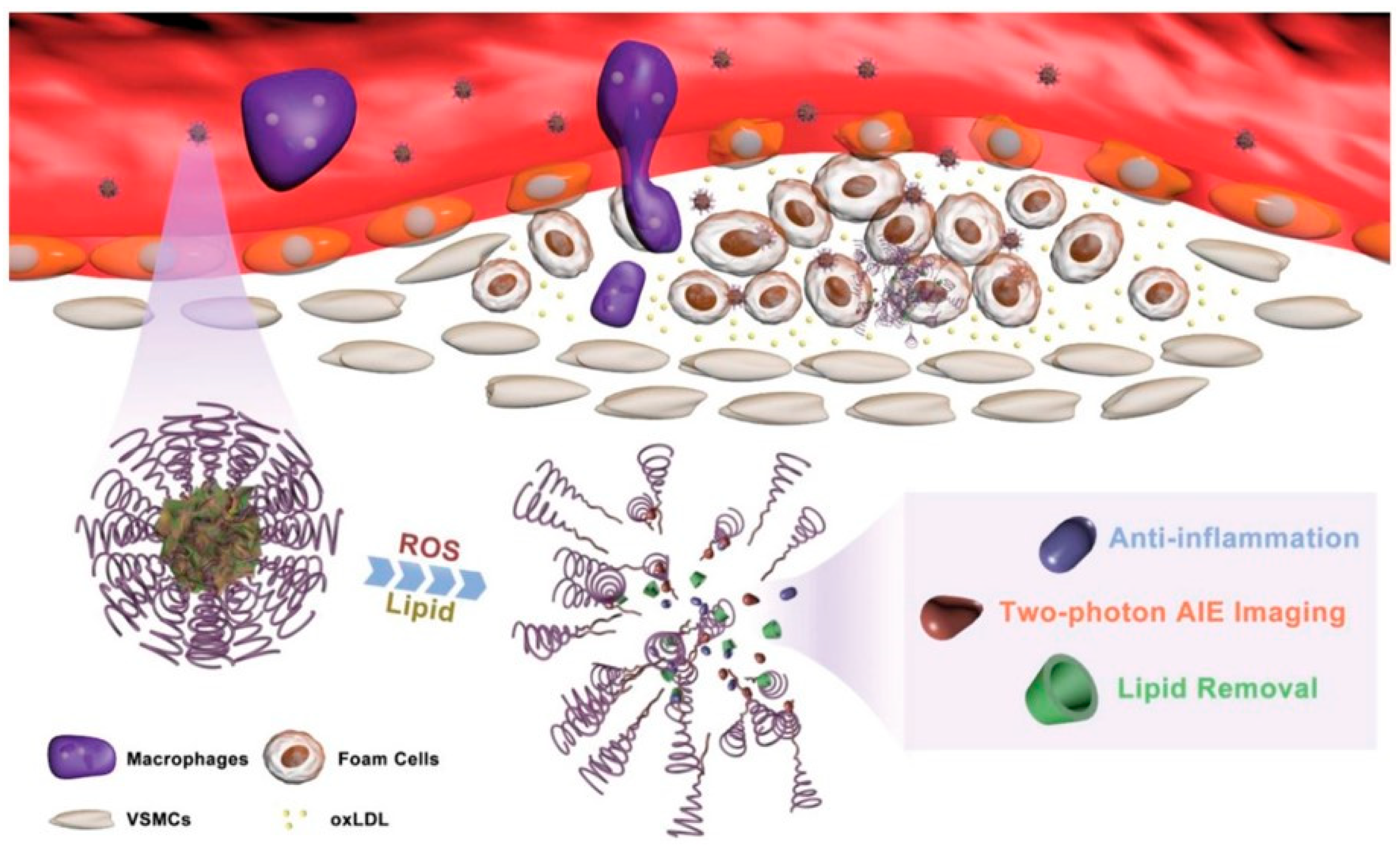 Biomolecules 12 01198 g006