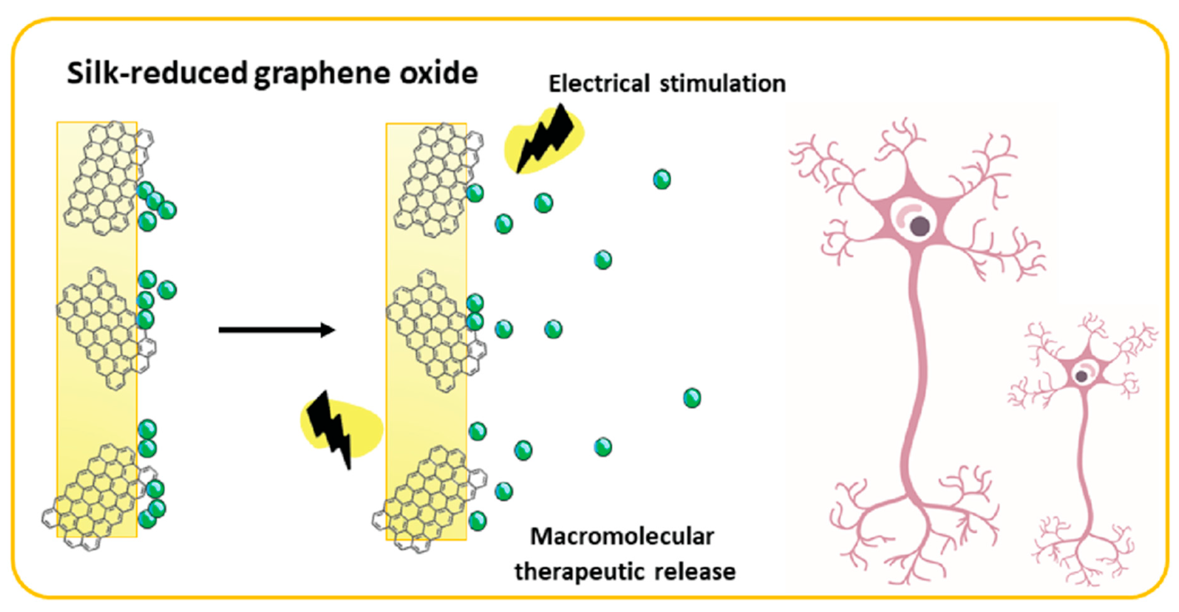 Biomolecules 12 01198 g008