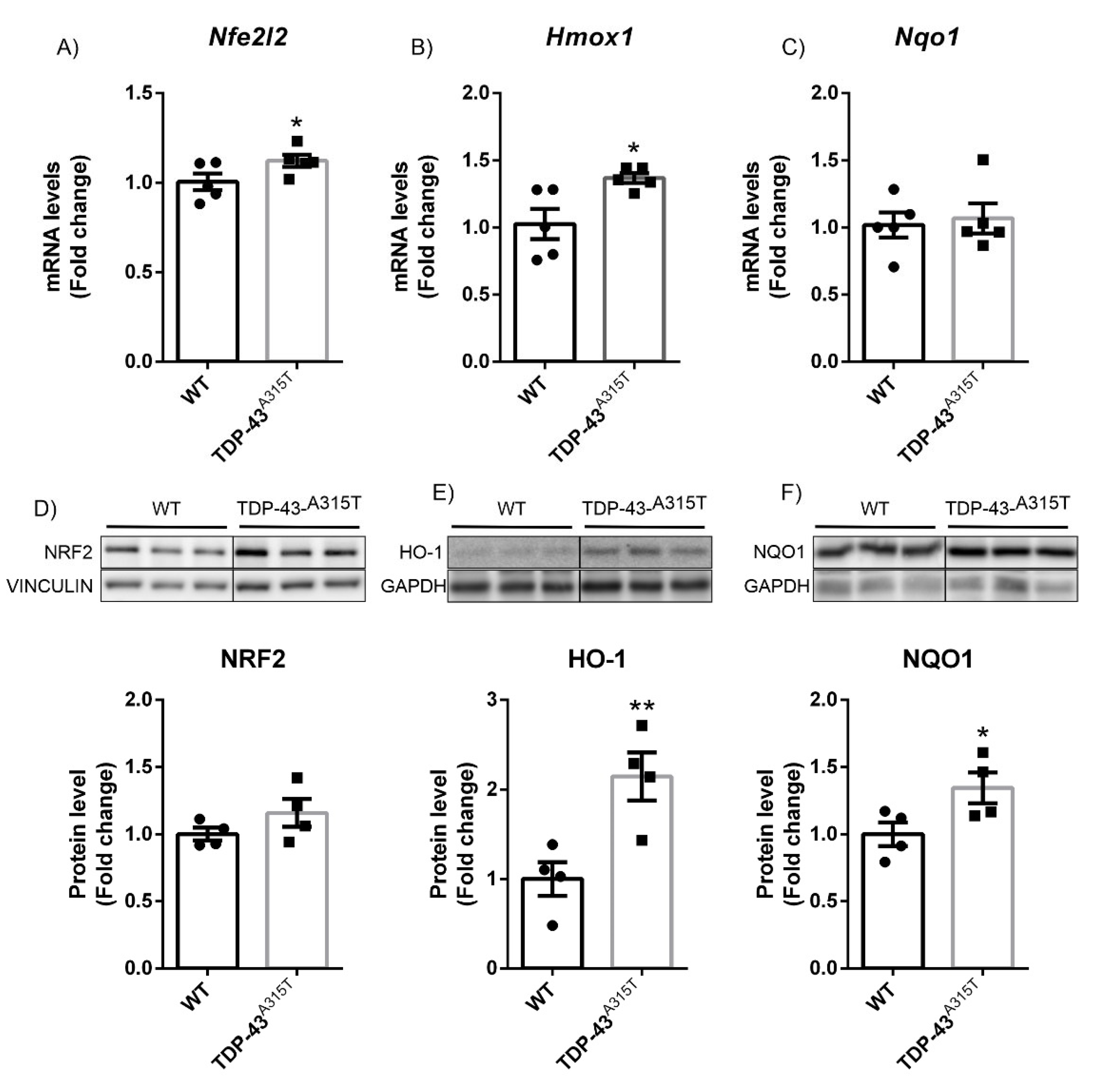 Biomolecules 12 01200 g003