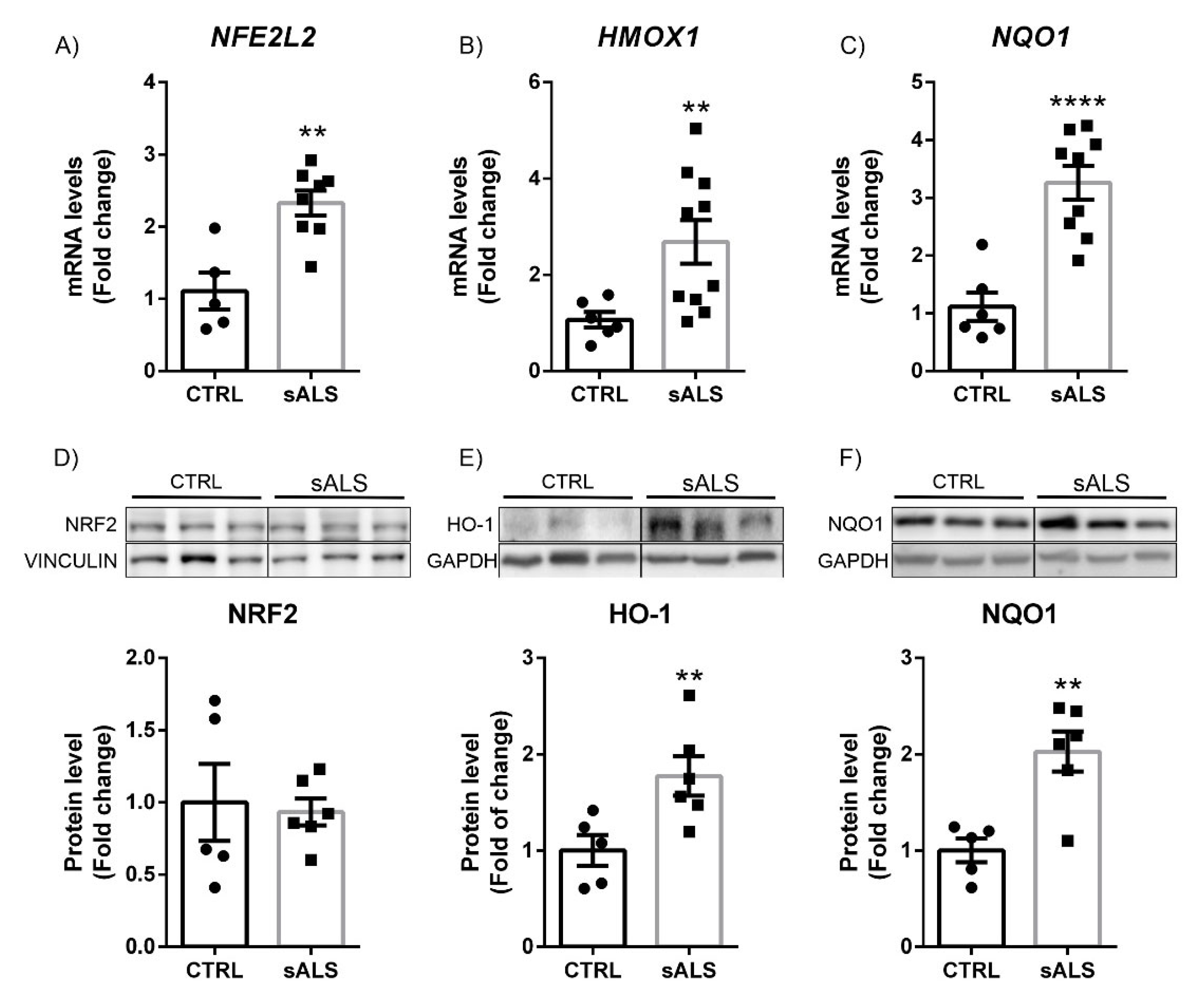 Biomolecules 12 01200 g005