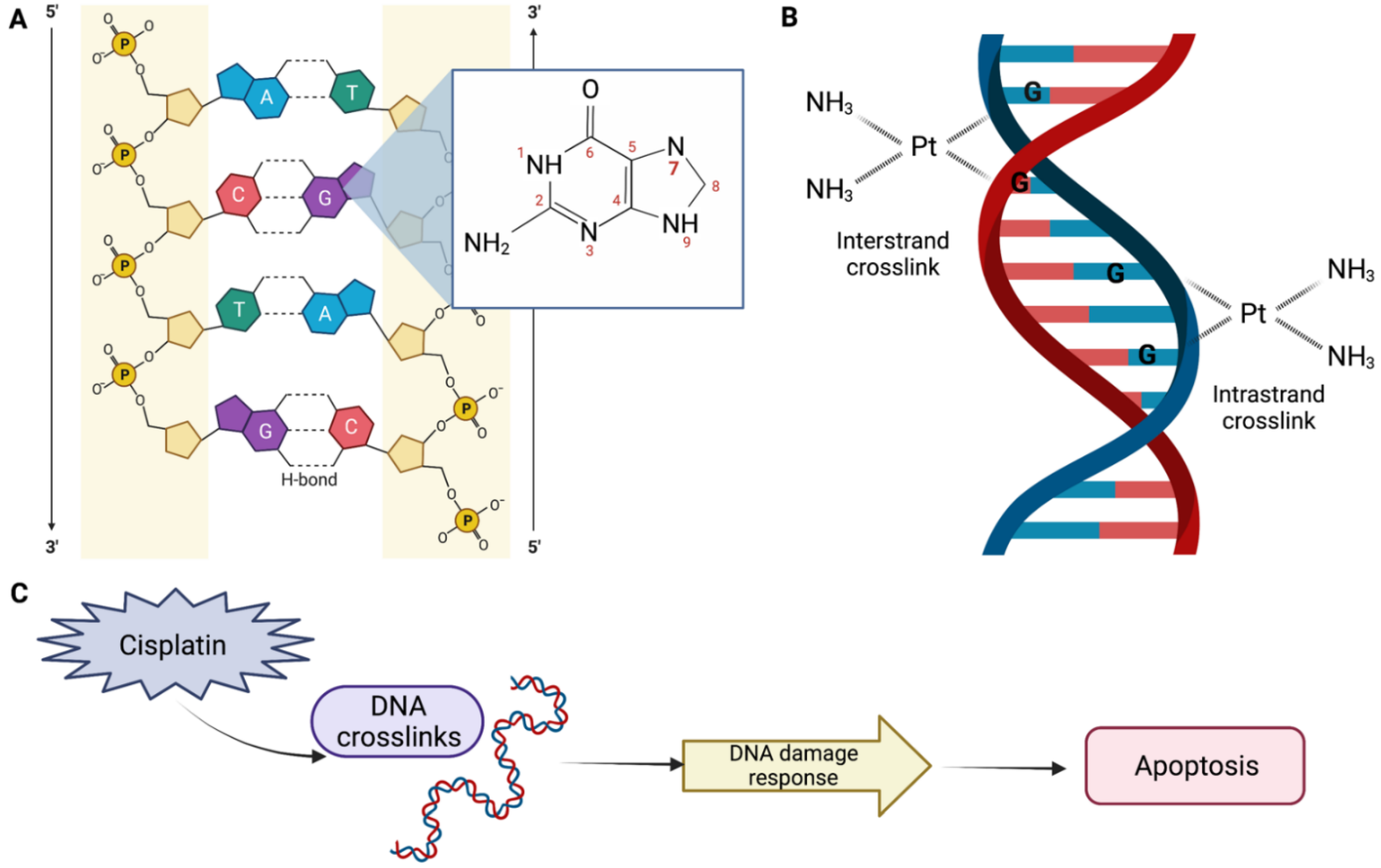 Biomolecules 12 01206 g001