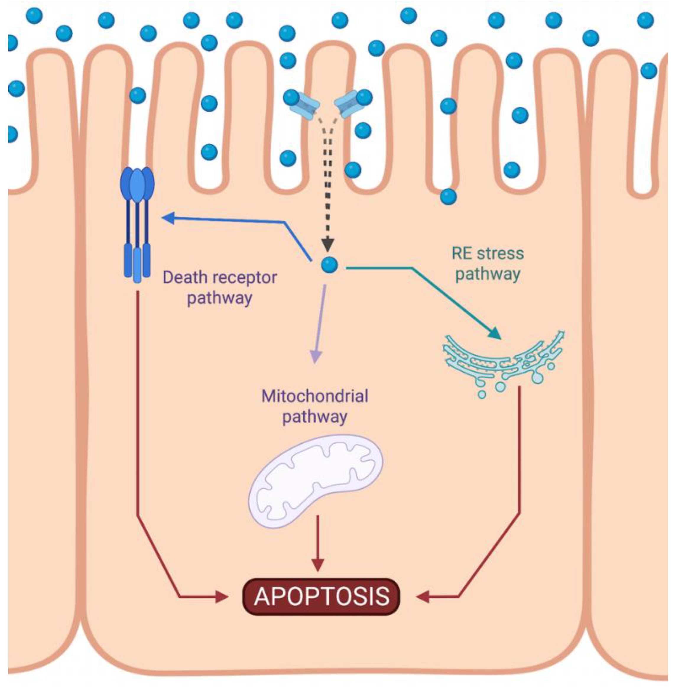 Biomolecules 12 01206 g002
