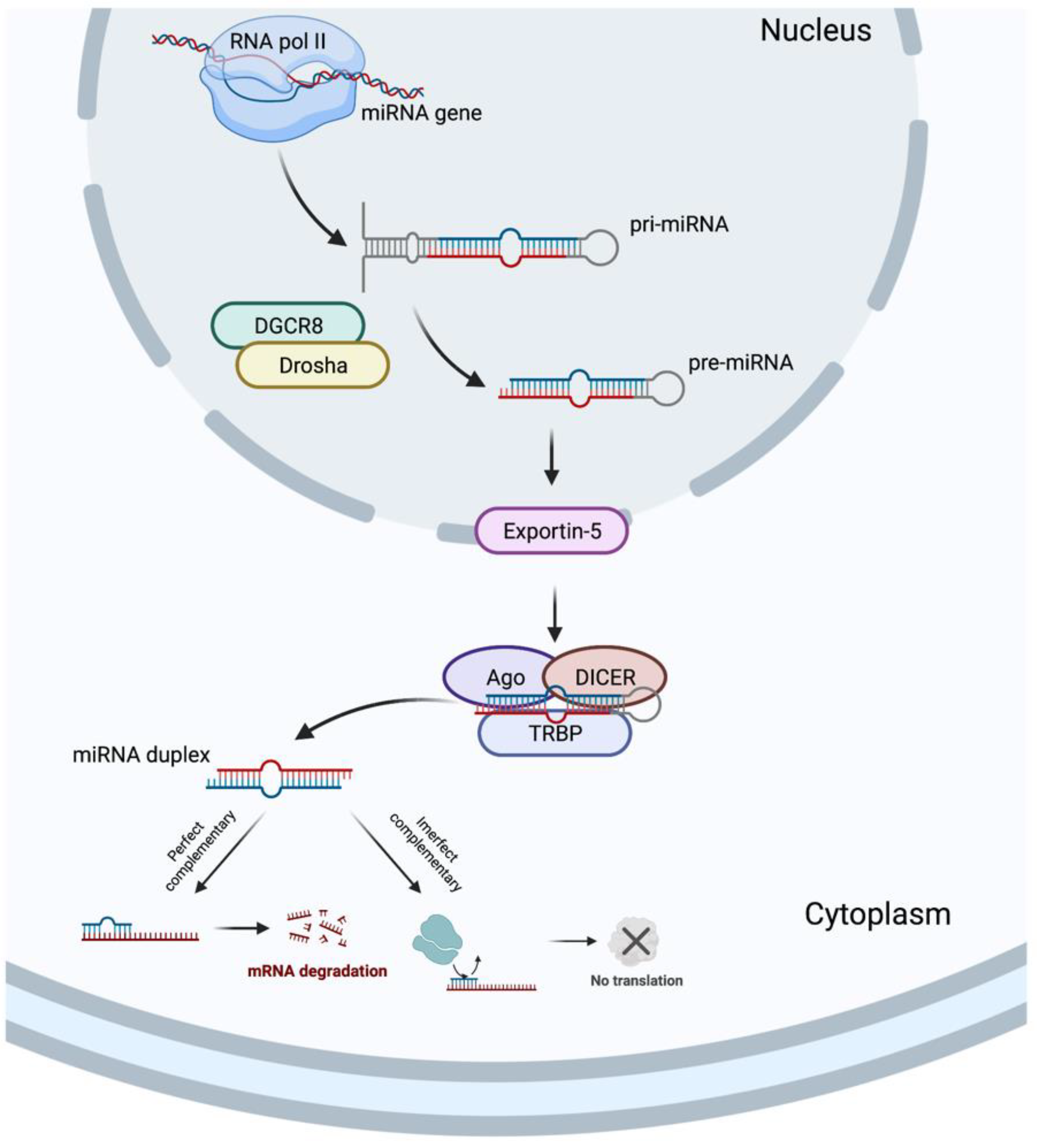 Biomolecules 12 01206 g003