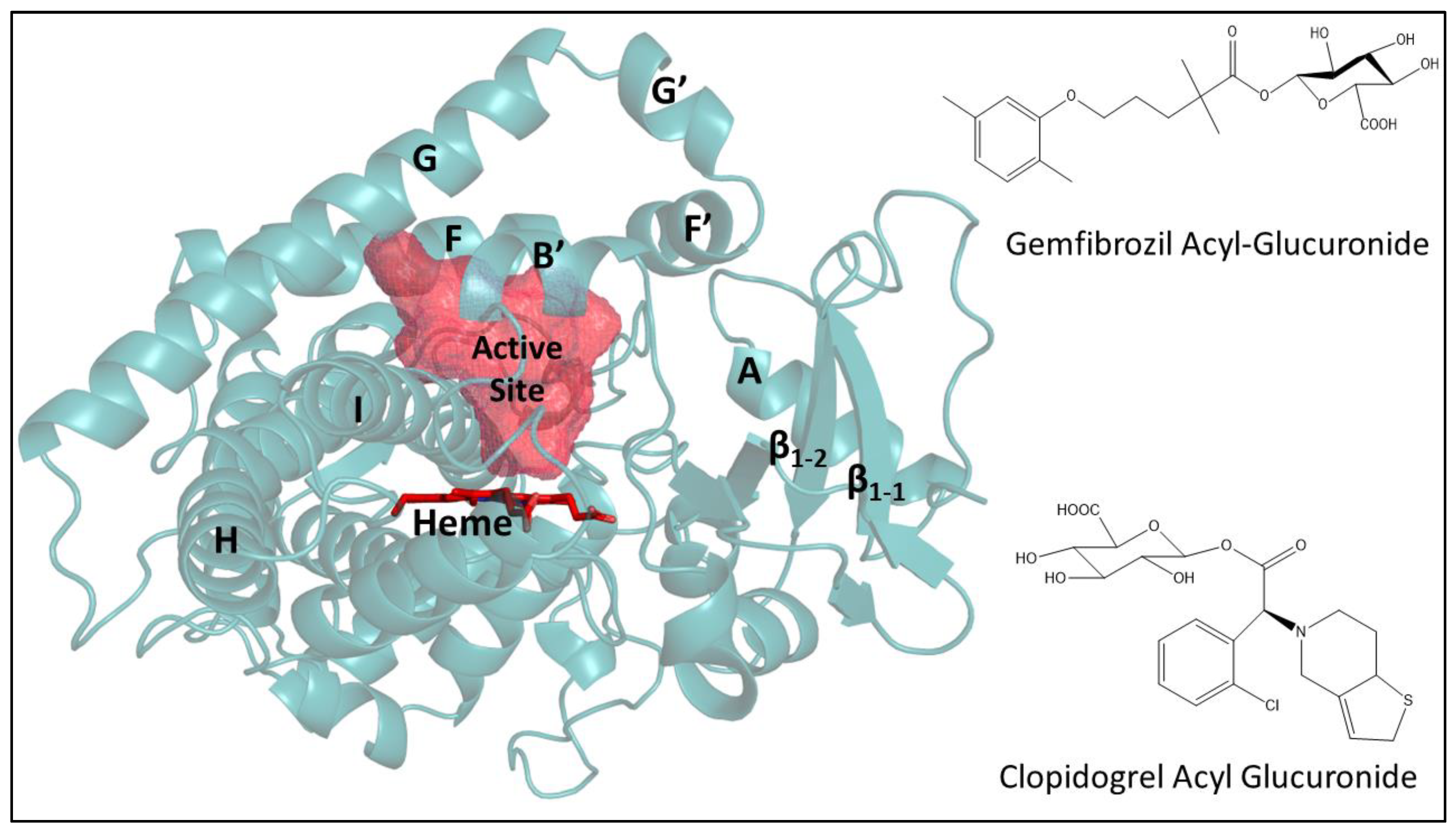 Biomolecules 12 01218 g001 Biomolecules 12 01218 g001