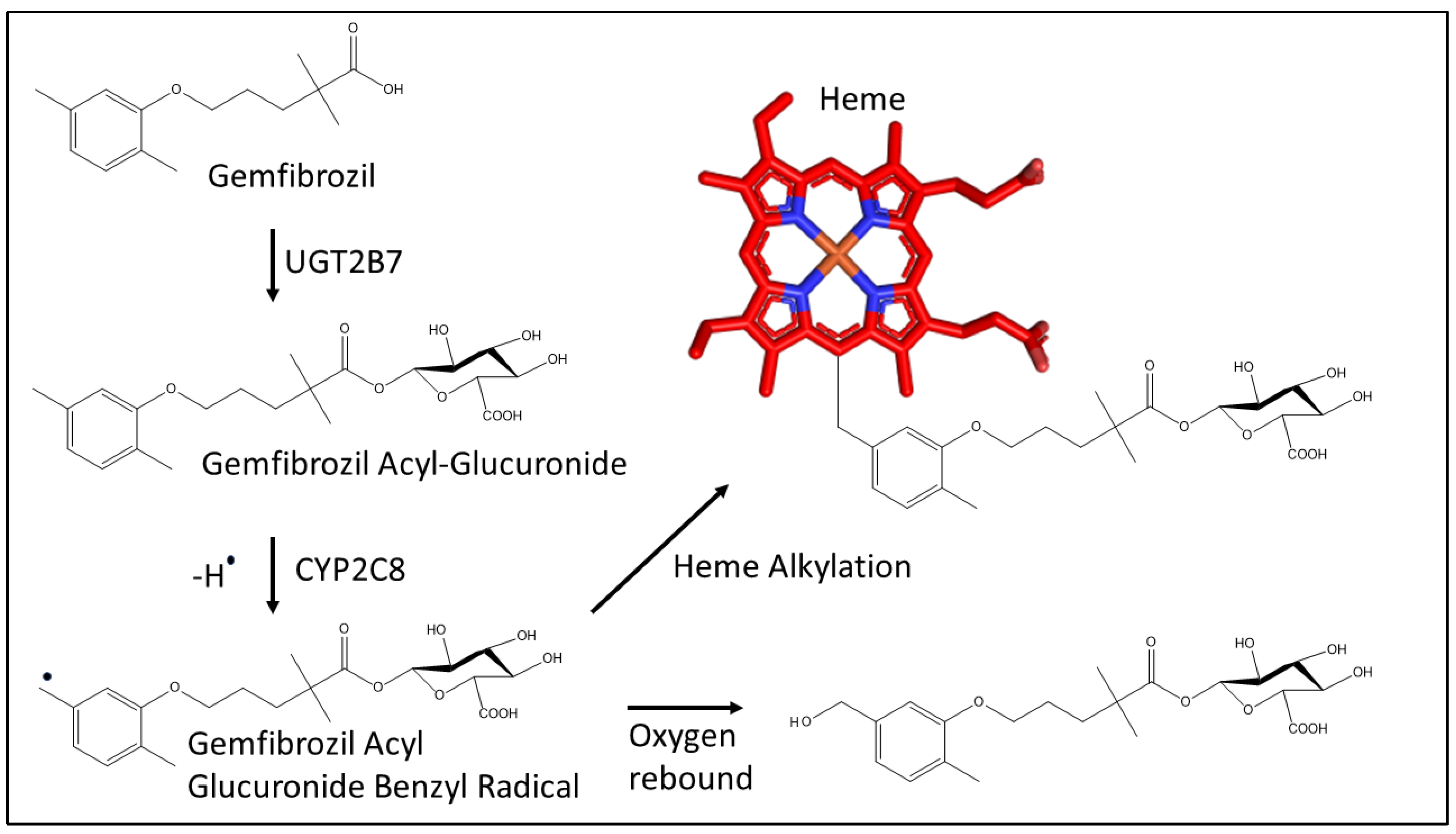 Biomolecules 12 01218 g002 Biomolecules 12 01218 g002