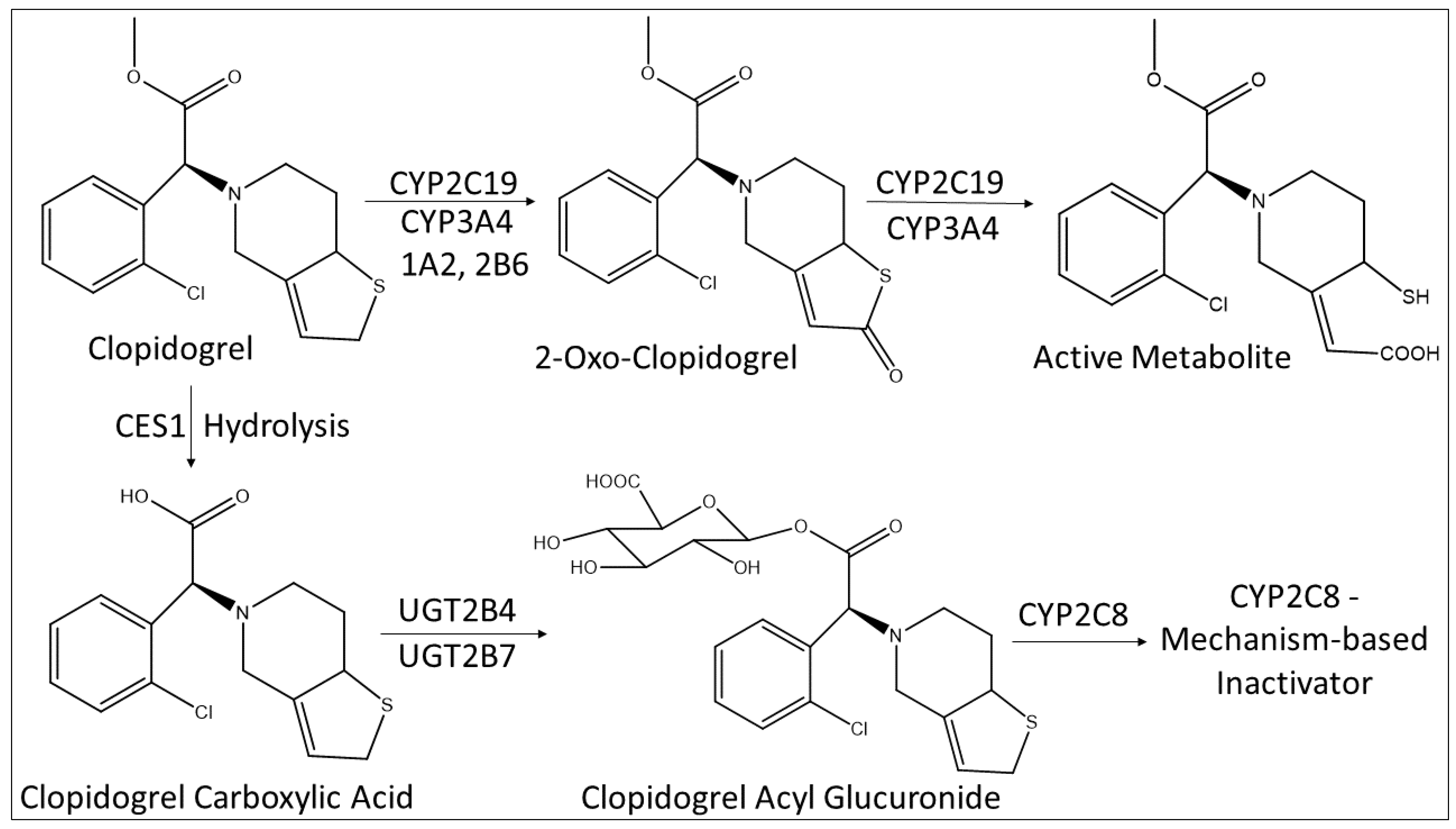 Biomolecules 12 01218 g003 Biomolecules 12 01218 g003