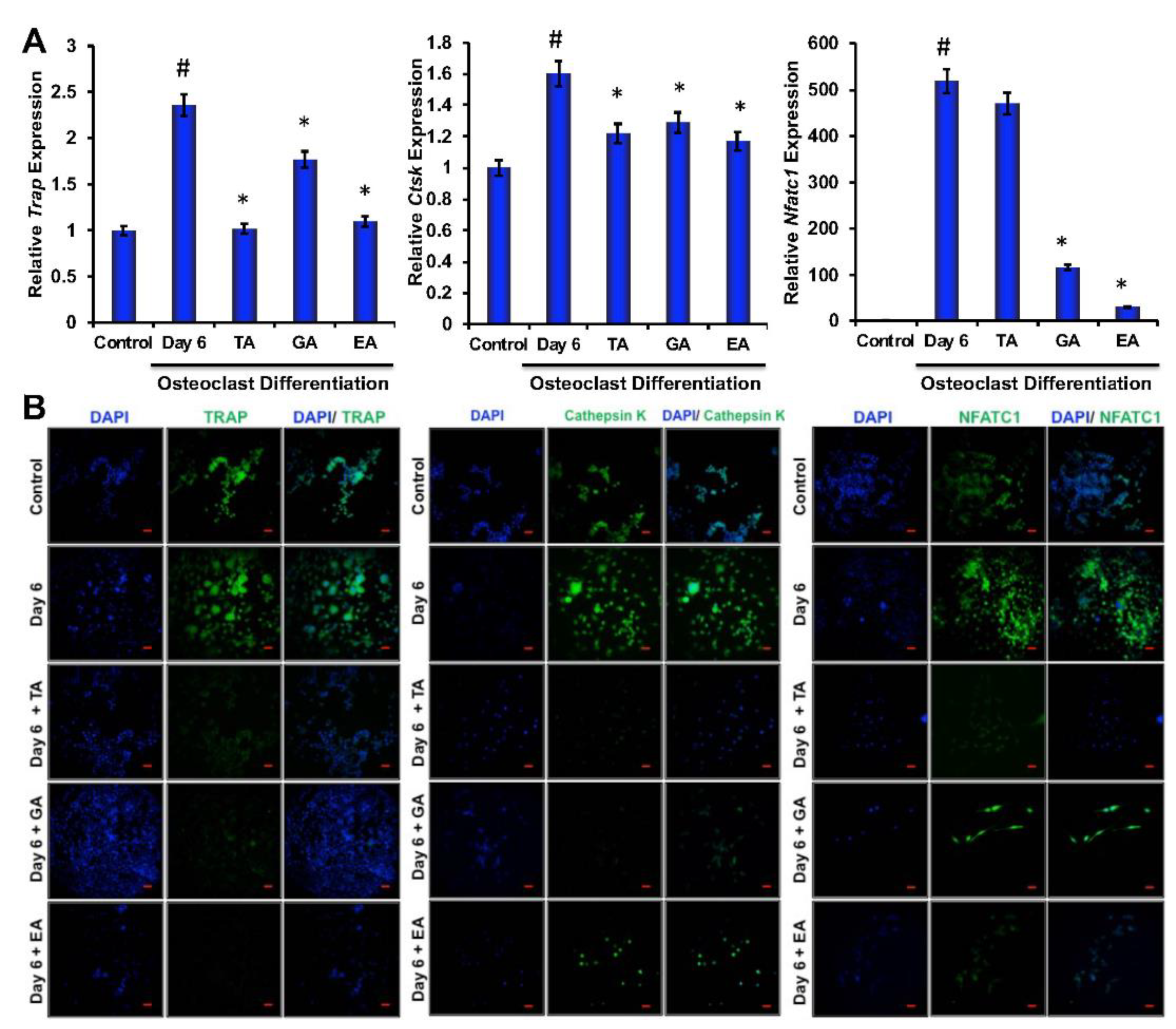 Biomolecules 12 01220 g002