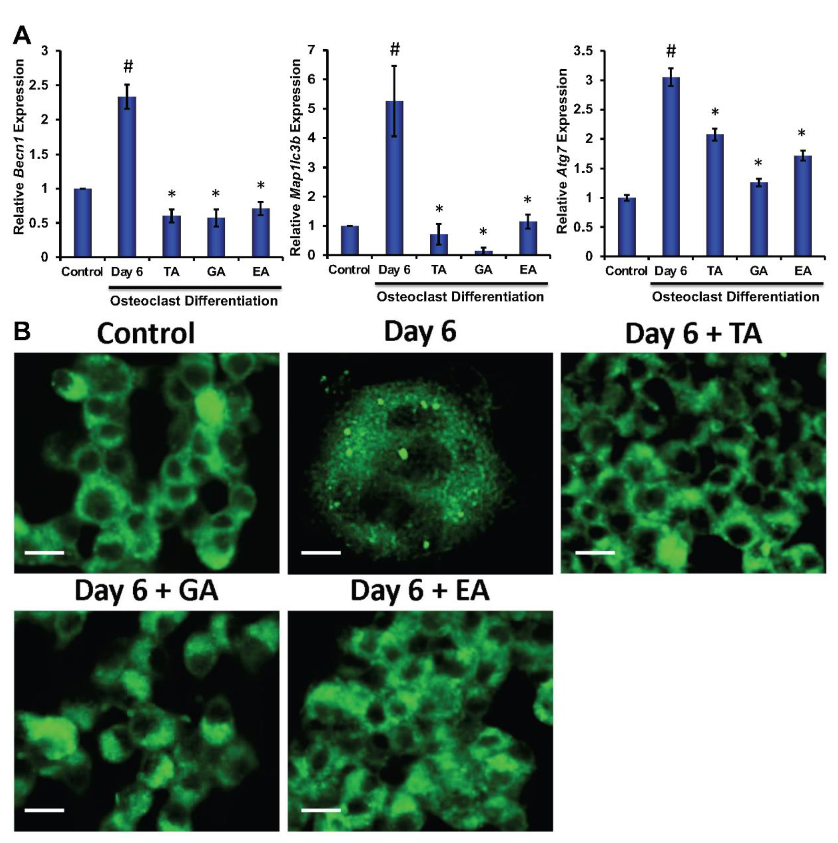Biomolecules 12 01220 g003