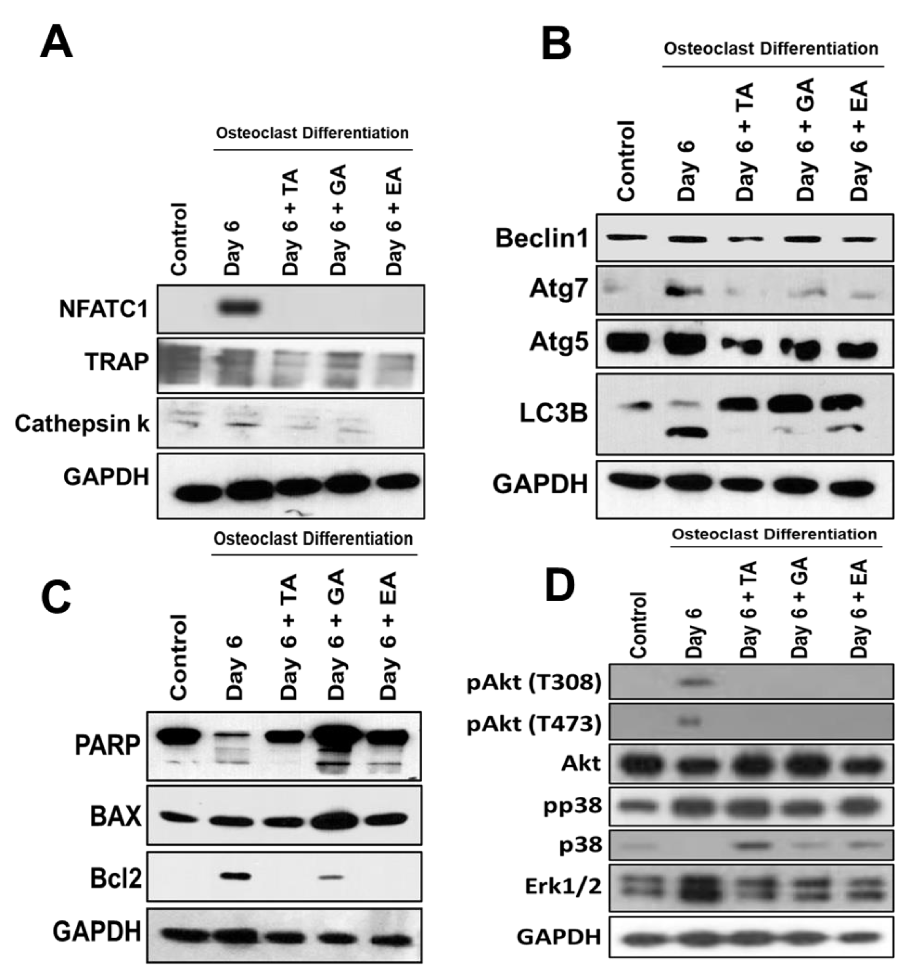 Biomolecules 12 01220 g004