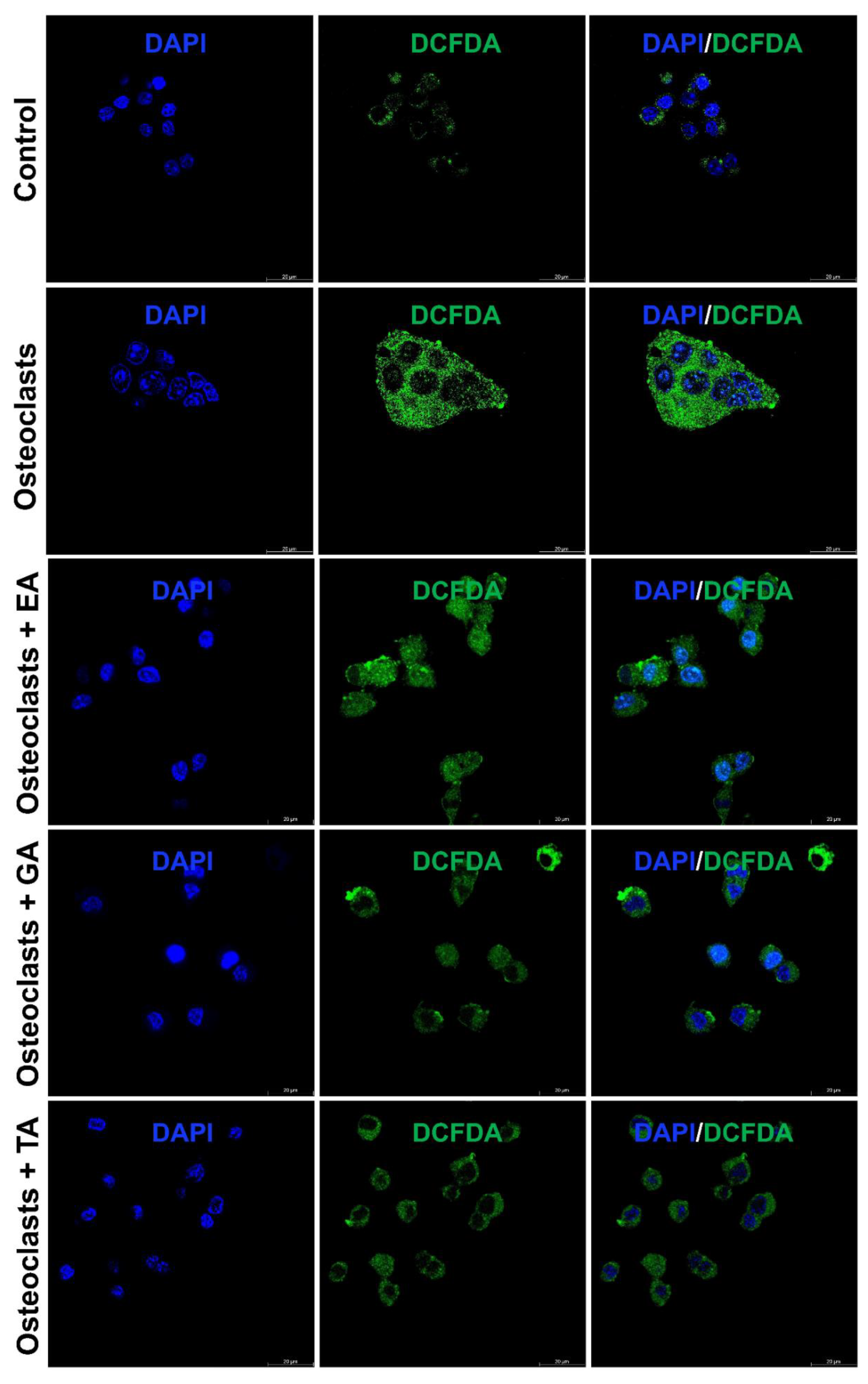 Biomolecules 12 01220 g005