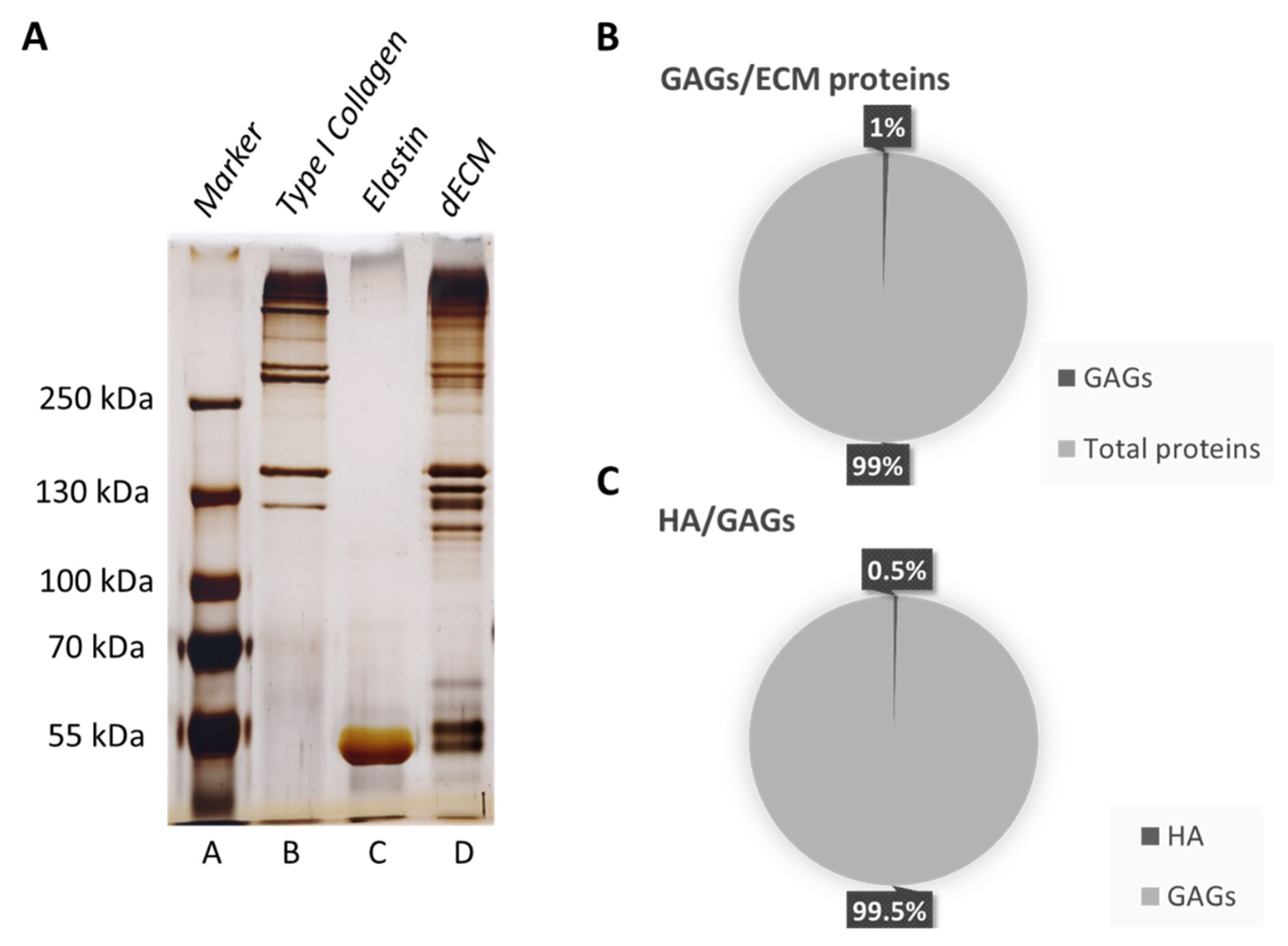 Biomolecules 12 01222 g001 Biomolecules 12 01222 g001