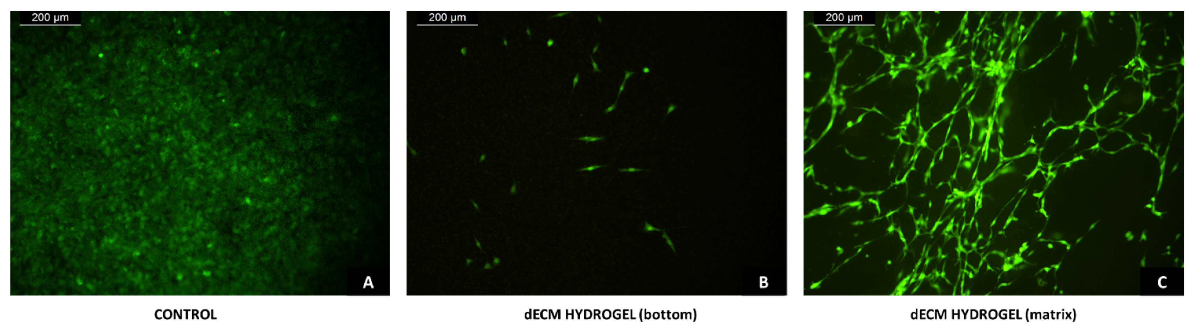 Biomolecules 12 01222 g008 Biomolecules 12 01222 g008