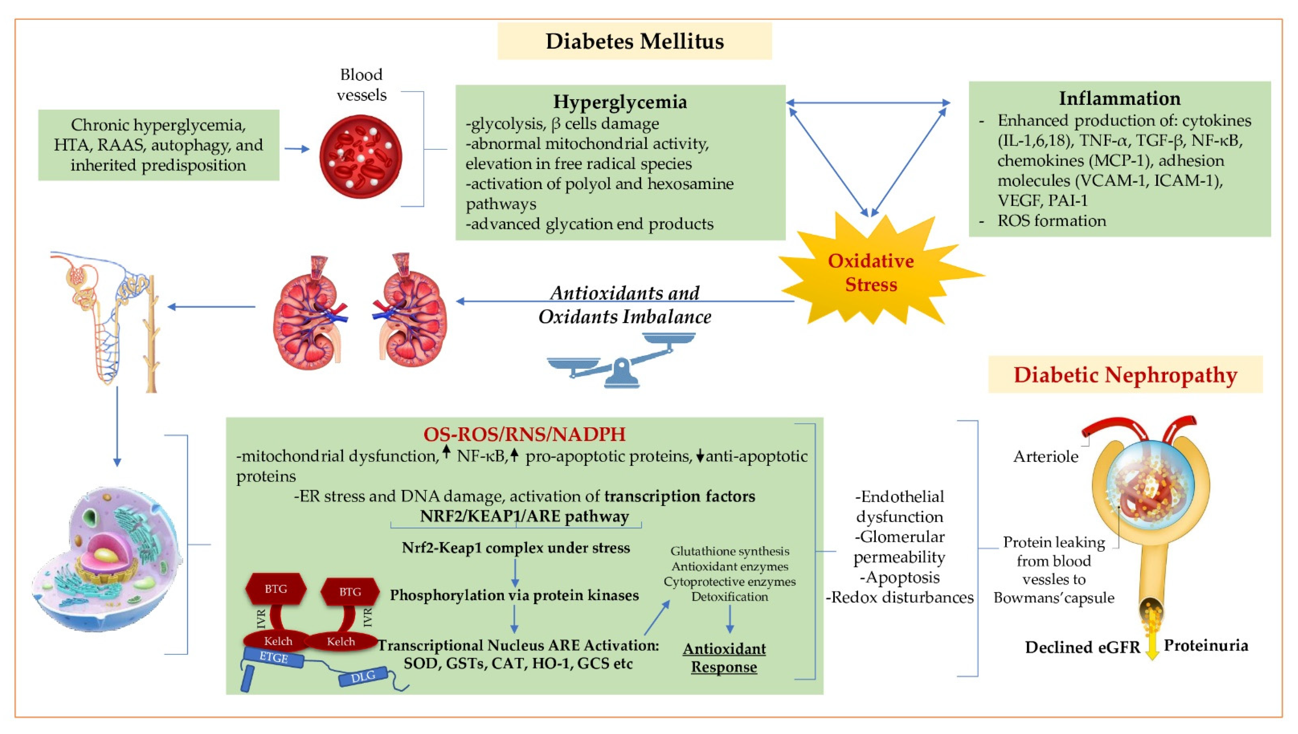 Biomolecules 12 01227 g001