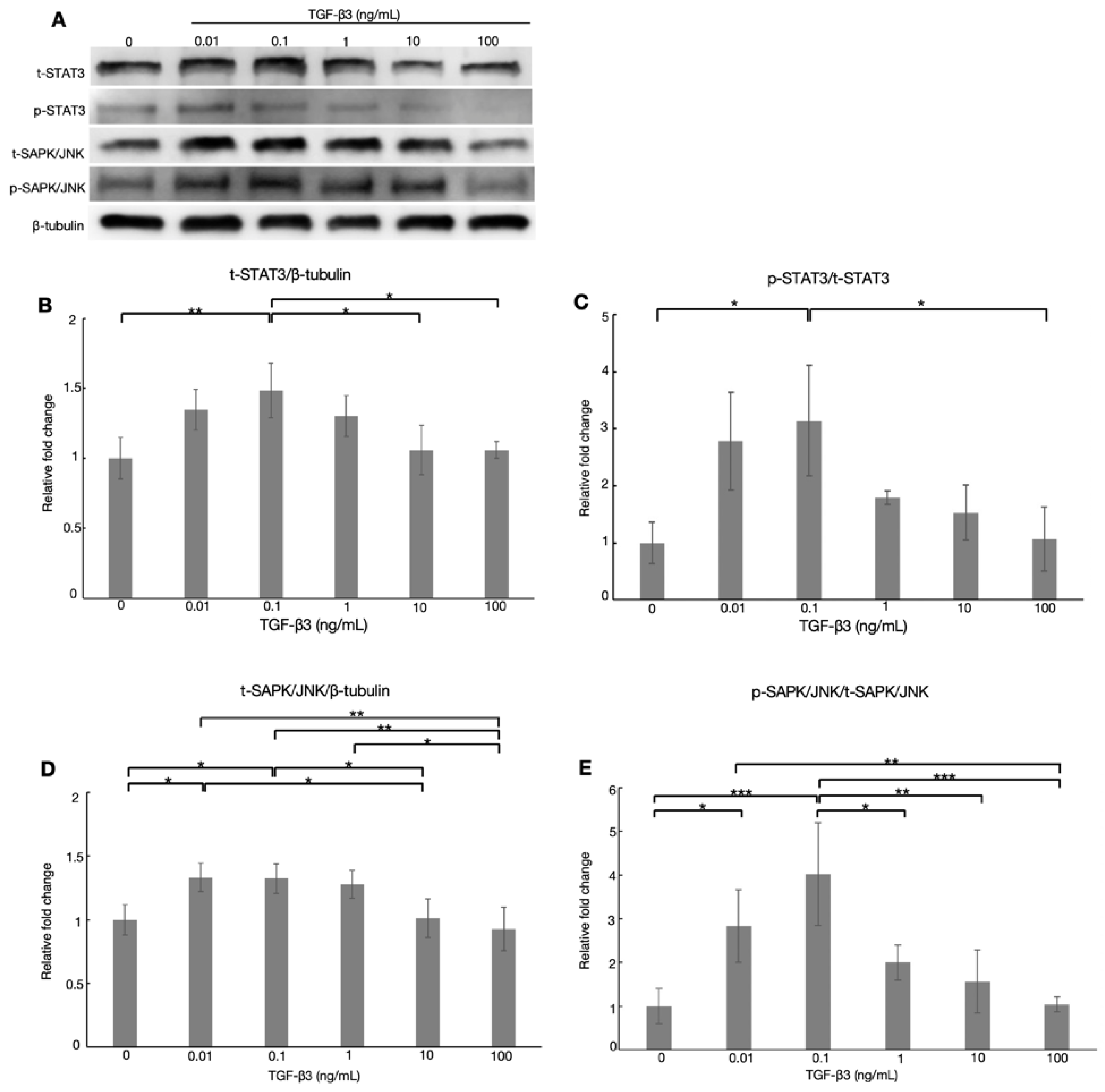 Biomolecules 12 01231 g003 Biomolecules 12 01231 g003