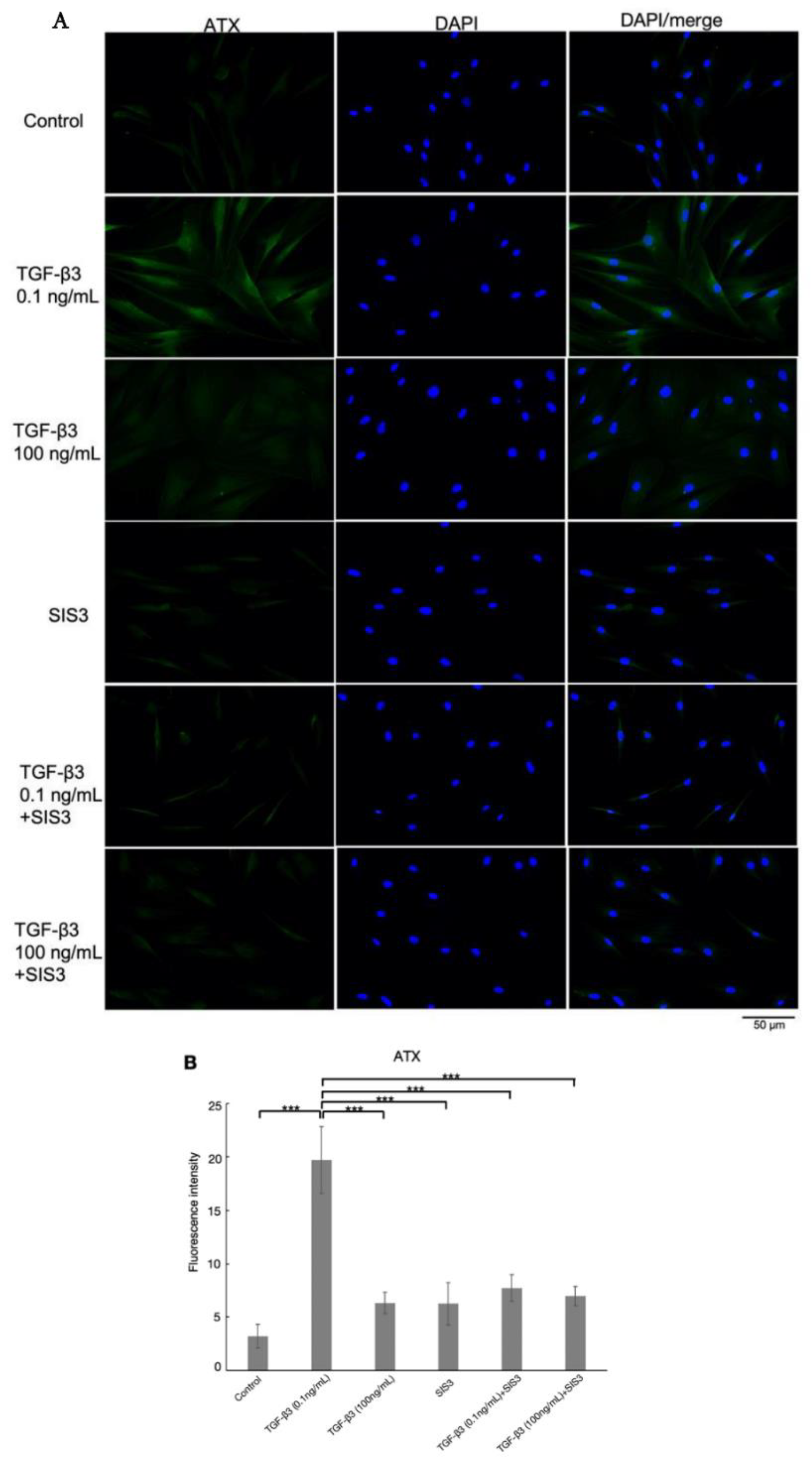 Biomolecules 12 01231 g005 Biomolecules 12 01231 g005