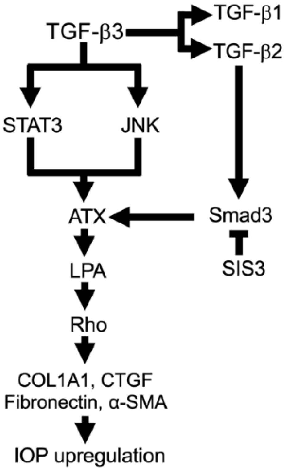 Biomolecules 12 01231 g008 Biomolecules 12 01231 g008