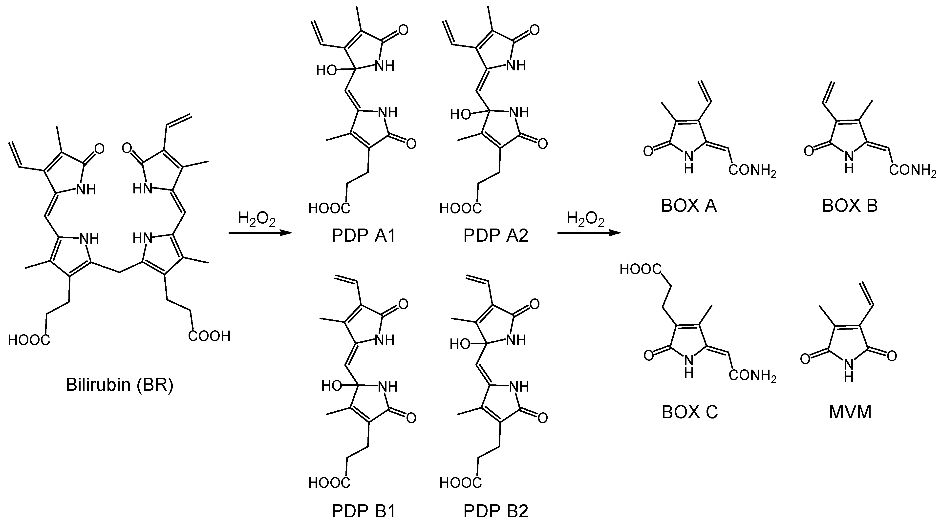 Biomolecules 12 01237 sch001