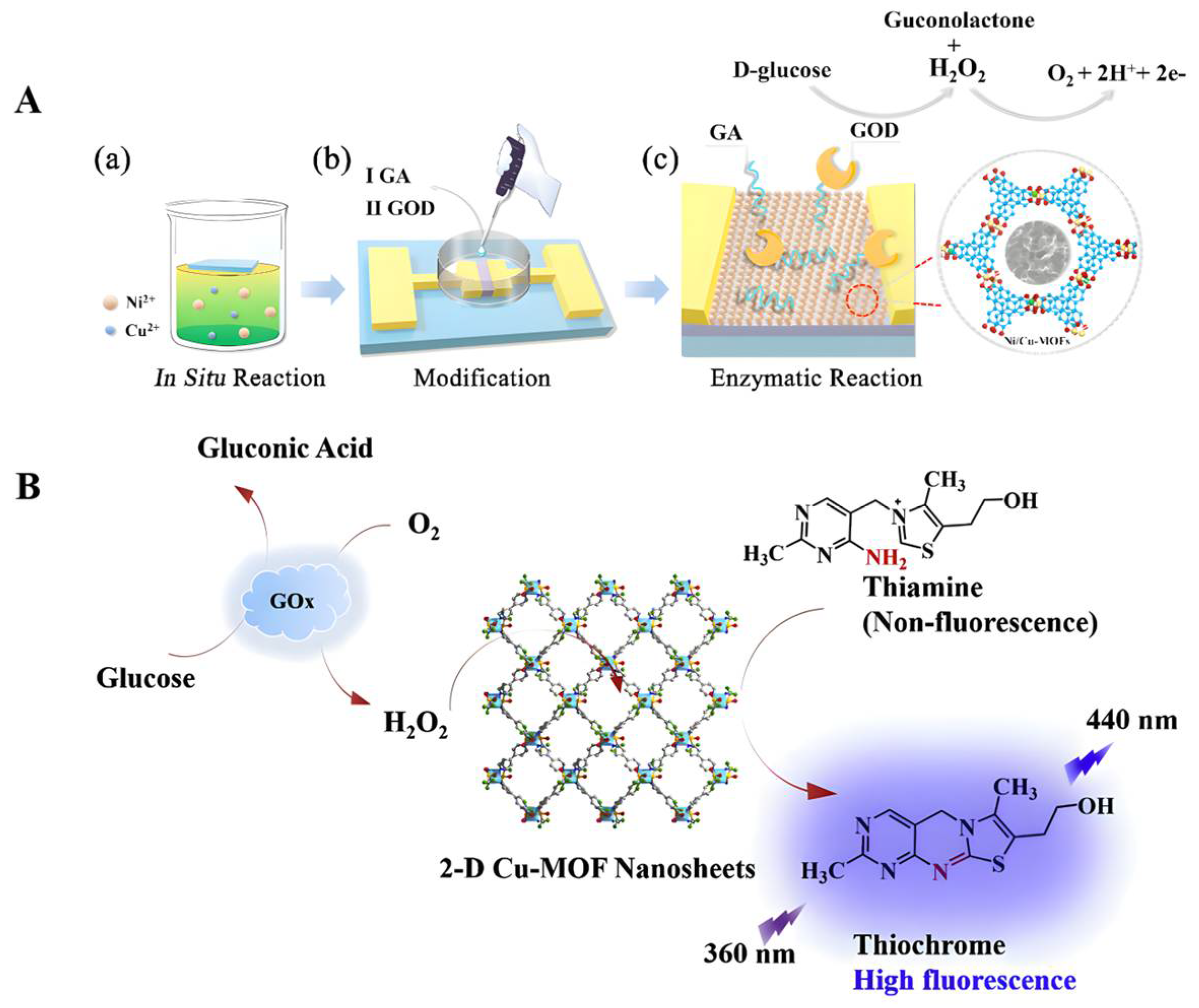 Biomolecules 12 01240 g002