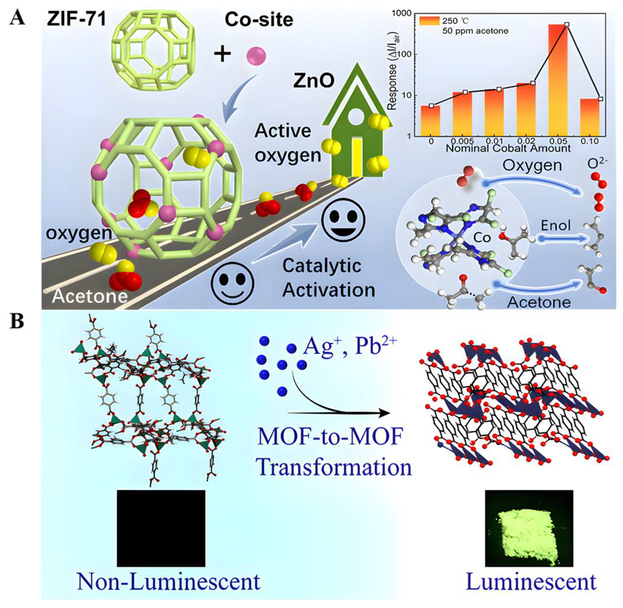 Biomolecules 12 01240 g003