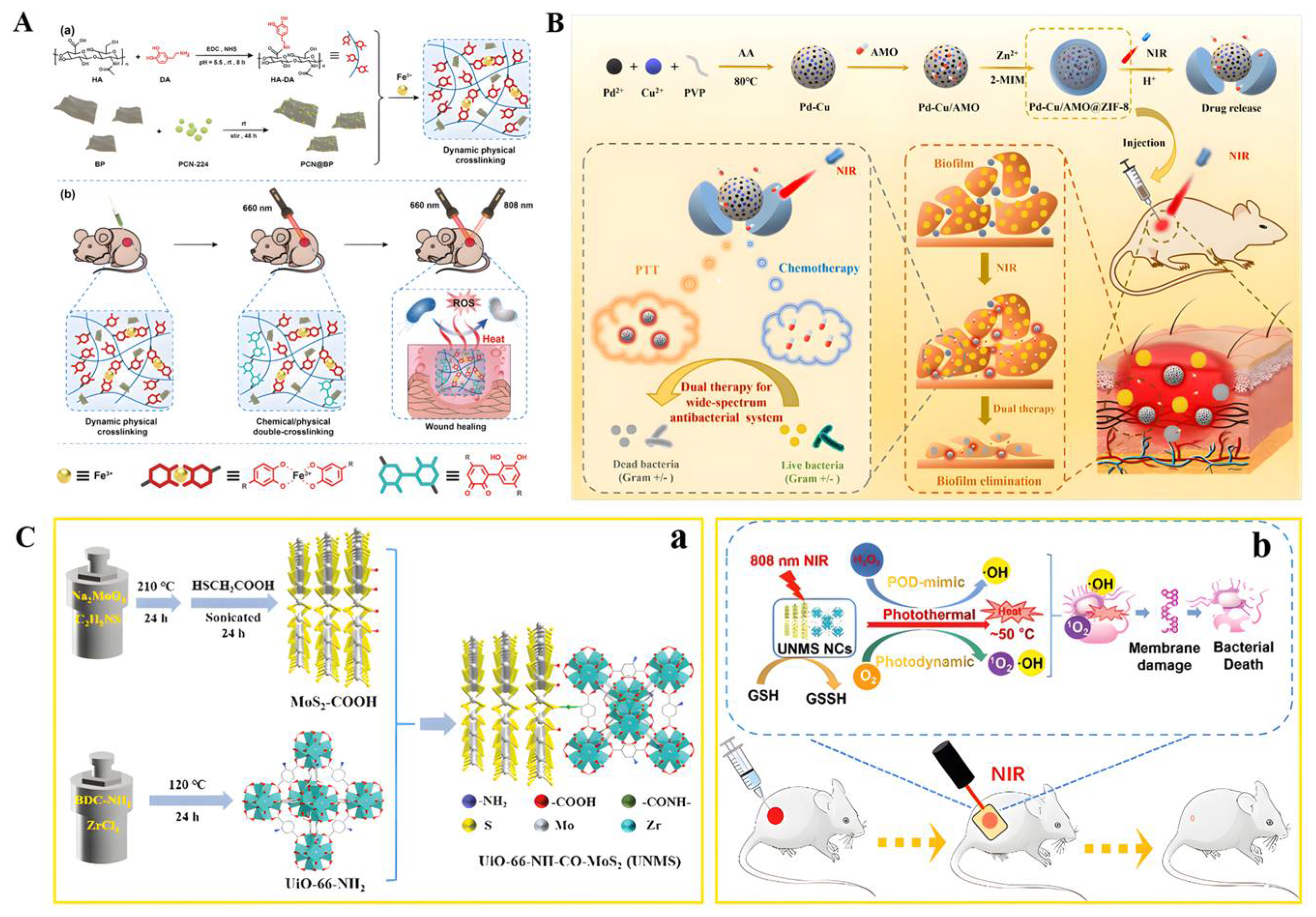 Biomolecules 12 01240 g007