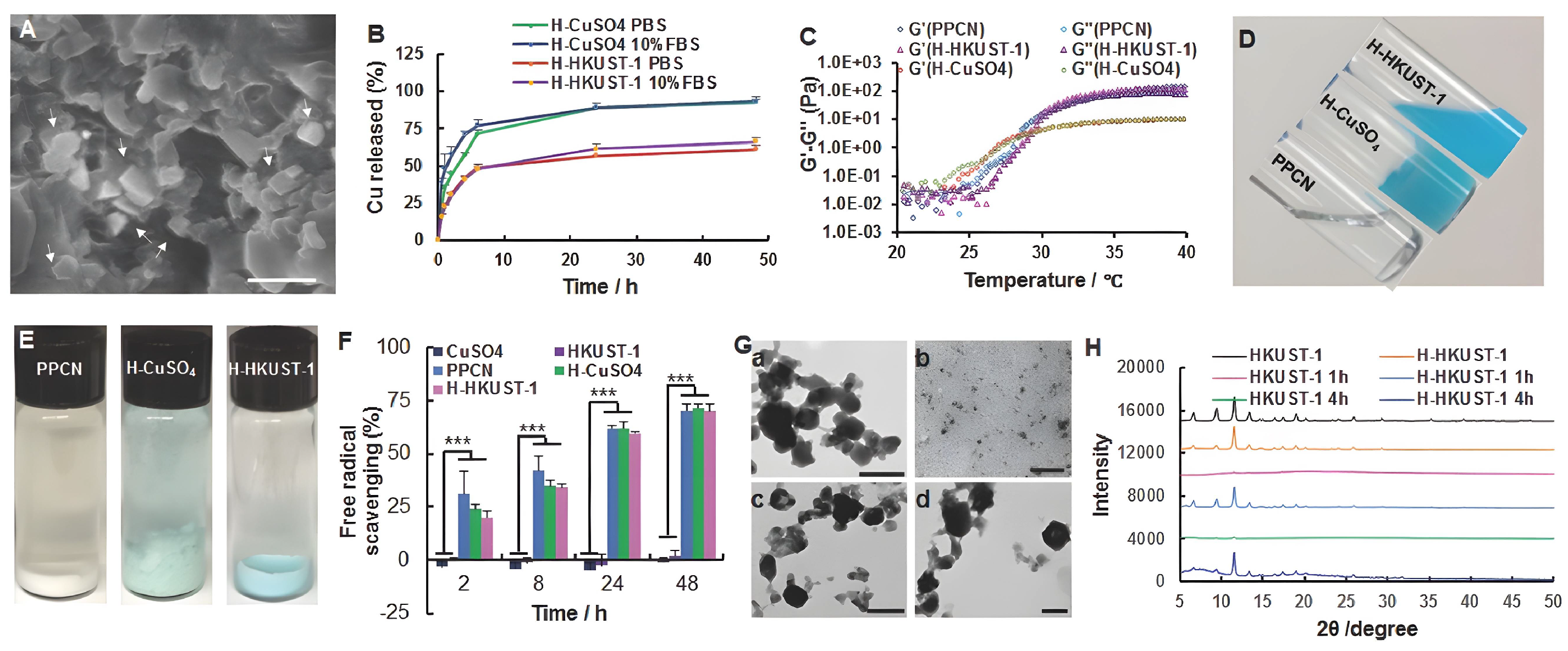 Biomolecules 12 01240 g008