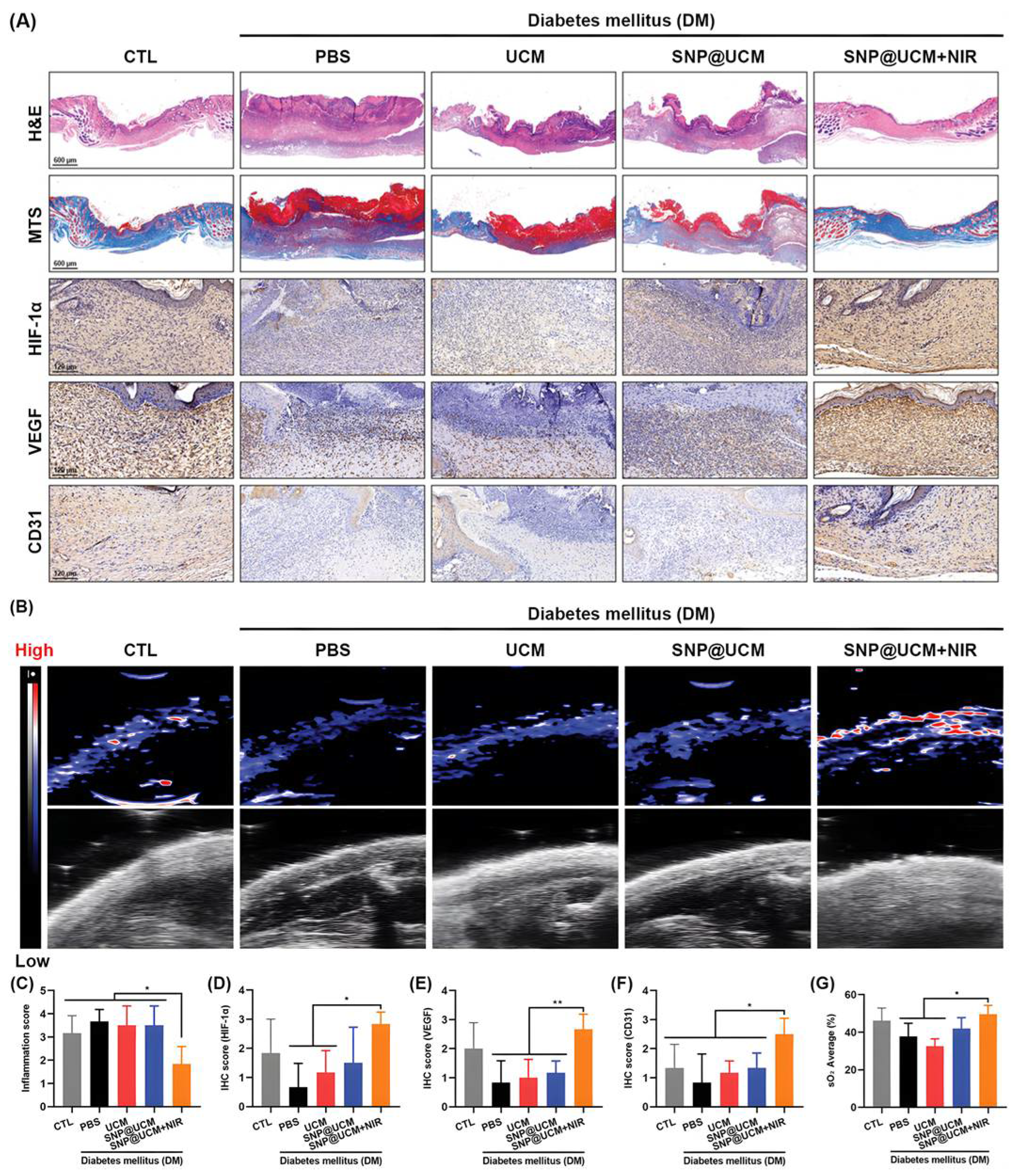 Biomolecules 12 01240 g009