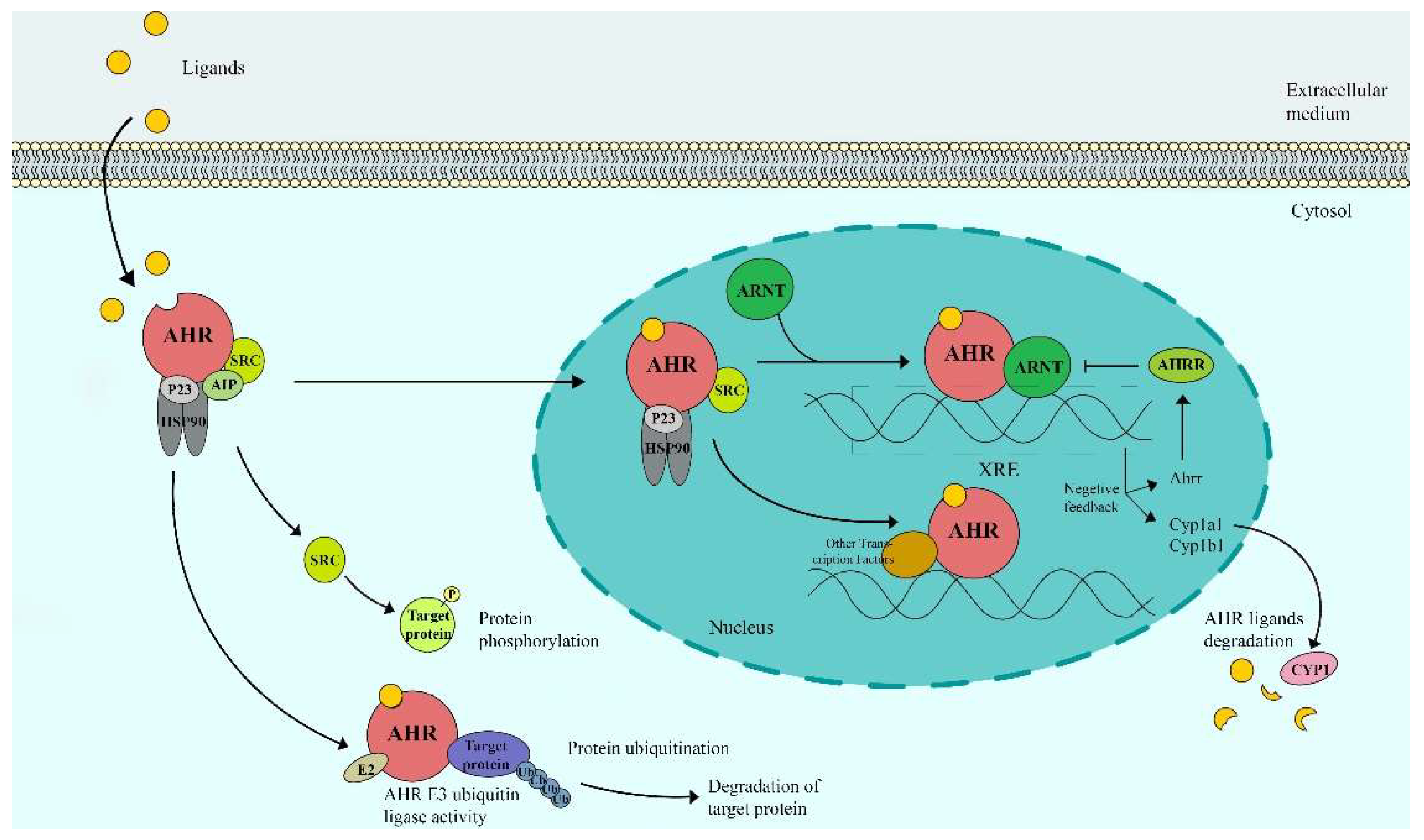 Biomolecules 12 01244 g001 Biomolecules 12 01244 g001