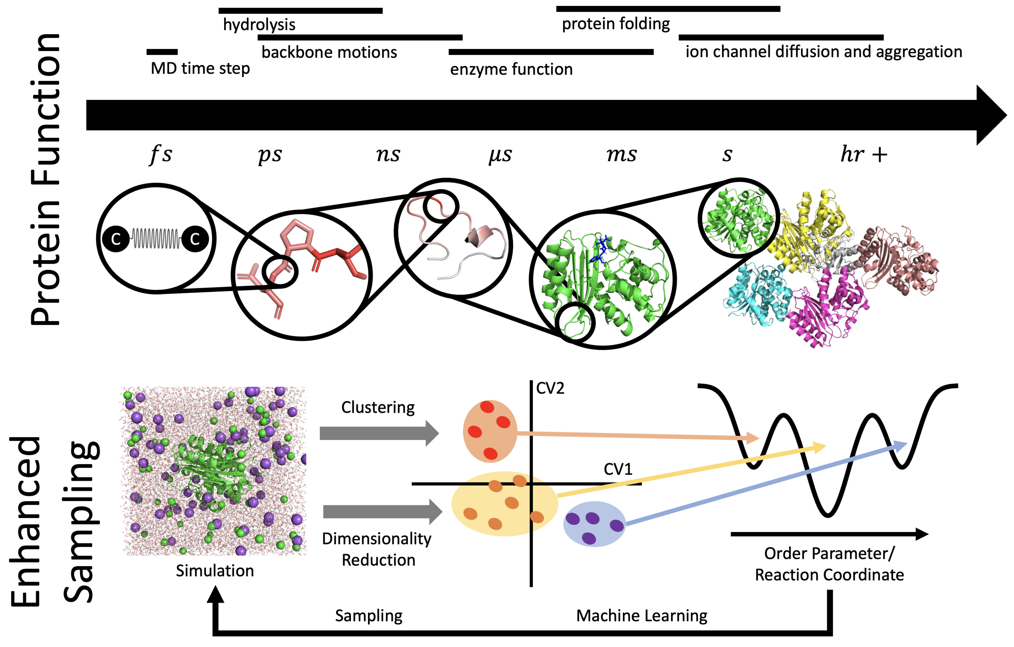Biomolecules 12 01246 g004