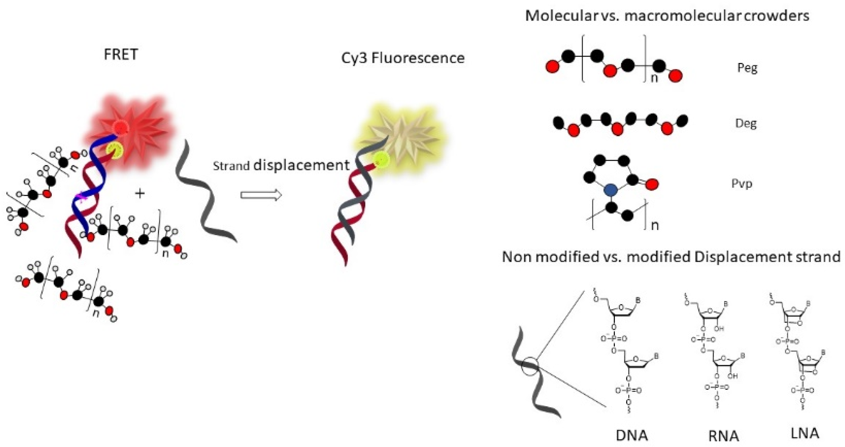 Biomolecules 12 01249 g001