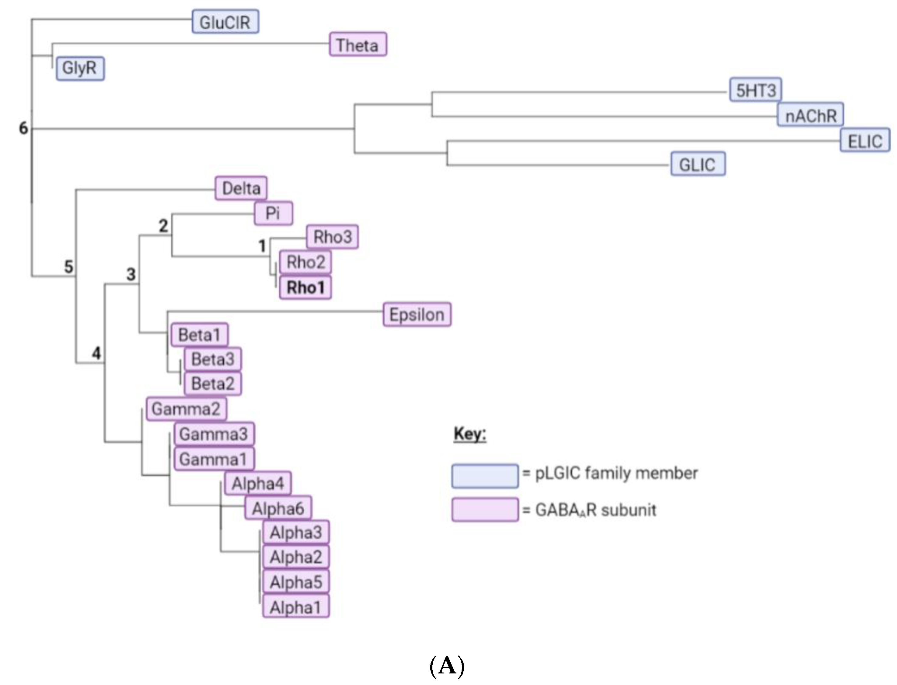 Biomolecules 12 01251 g002a
