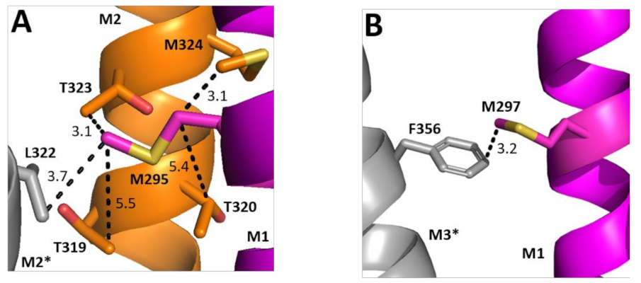 Biomolecules 12 01251 g007