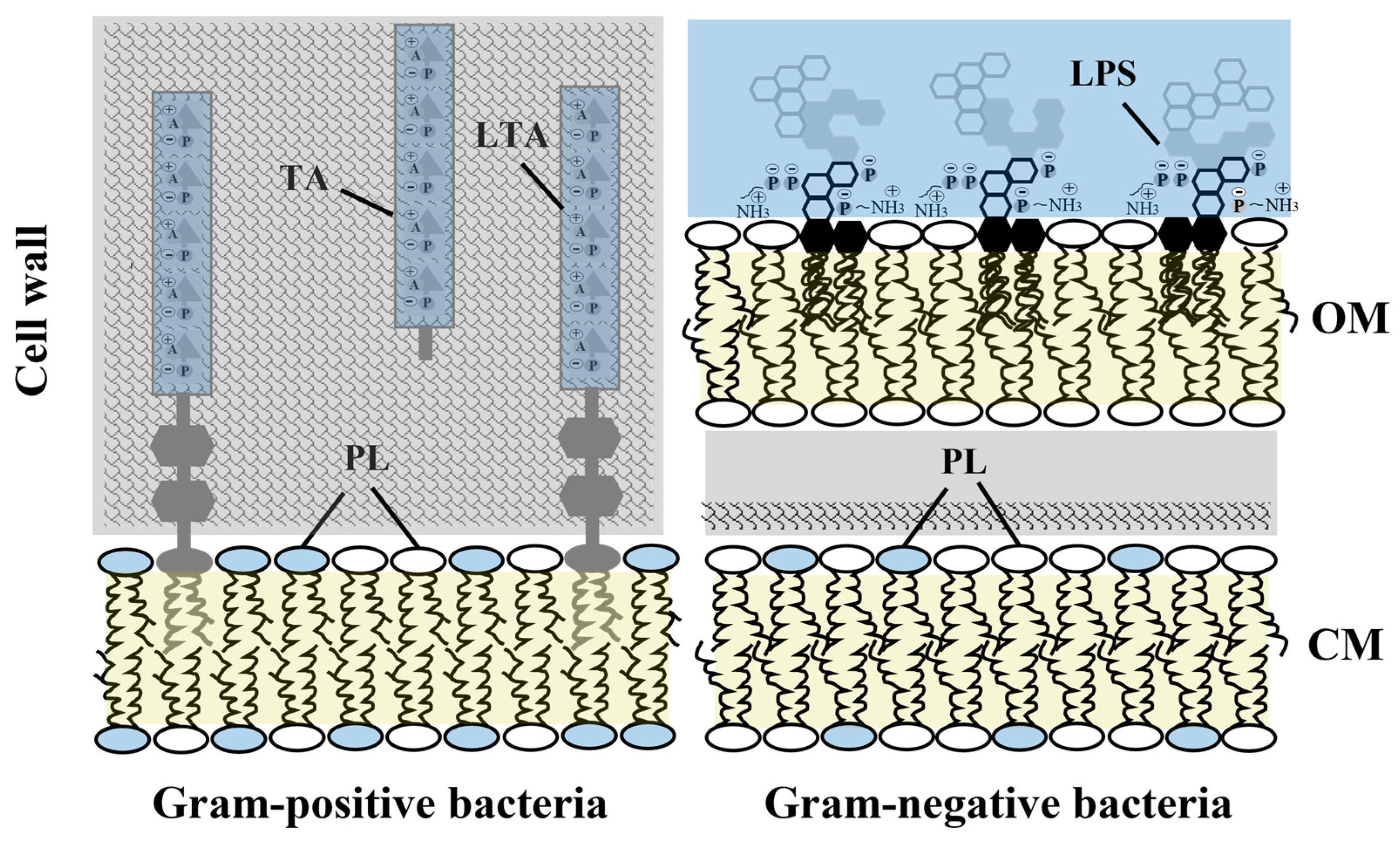 Biomolecules 12 01252 g002