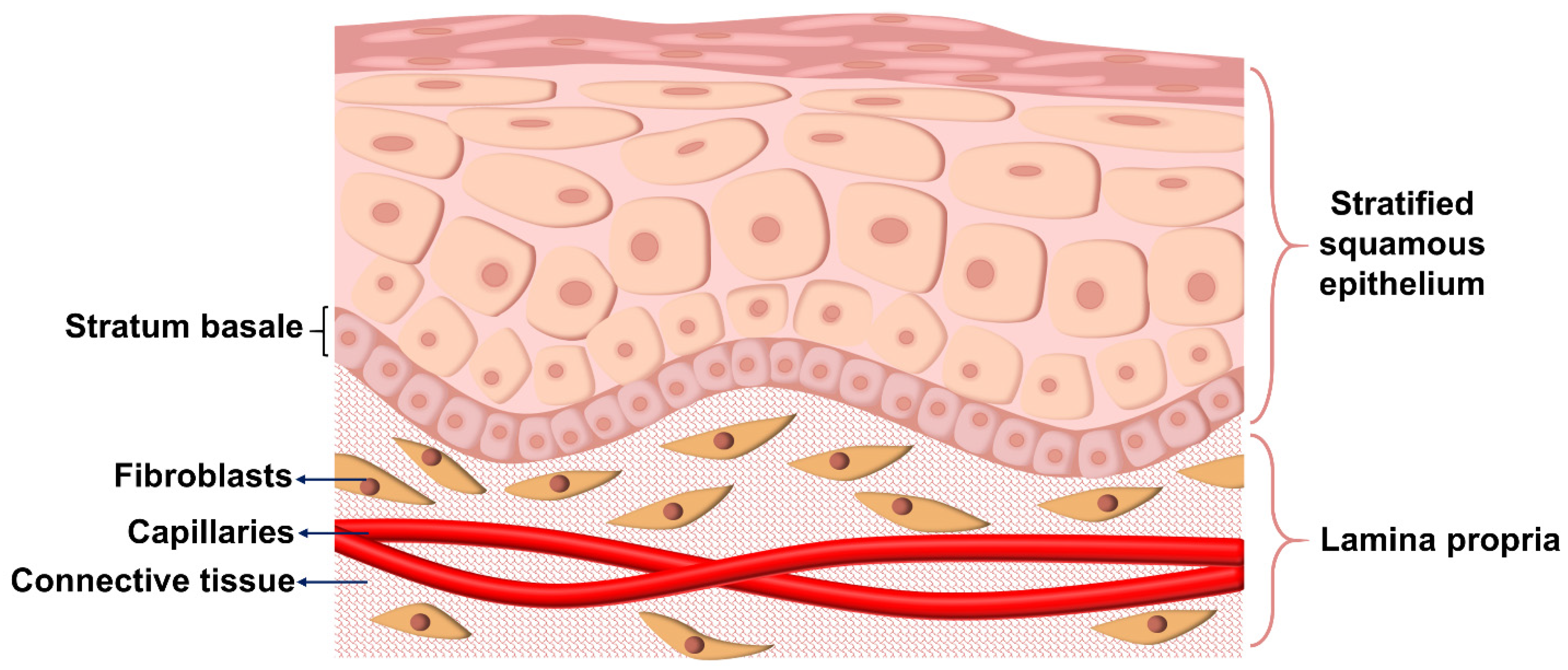 Biomolecules 12 01254 g003
