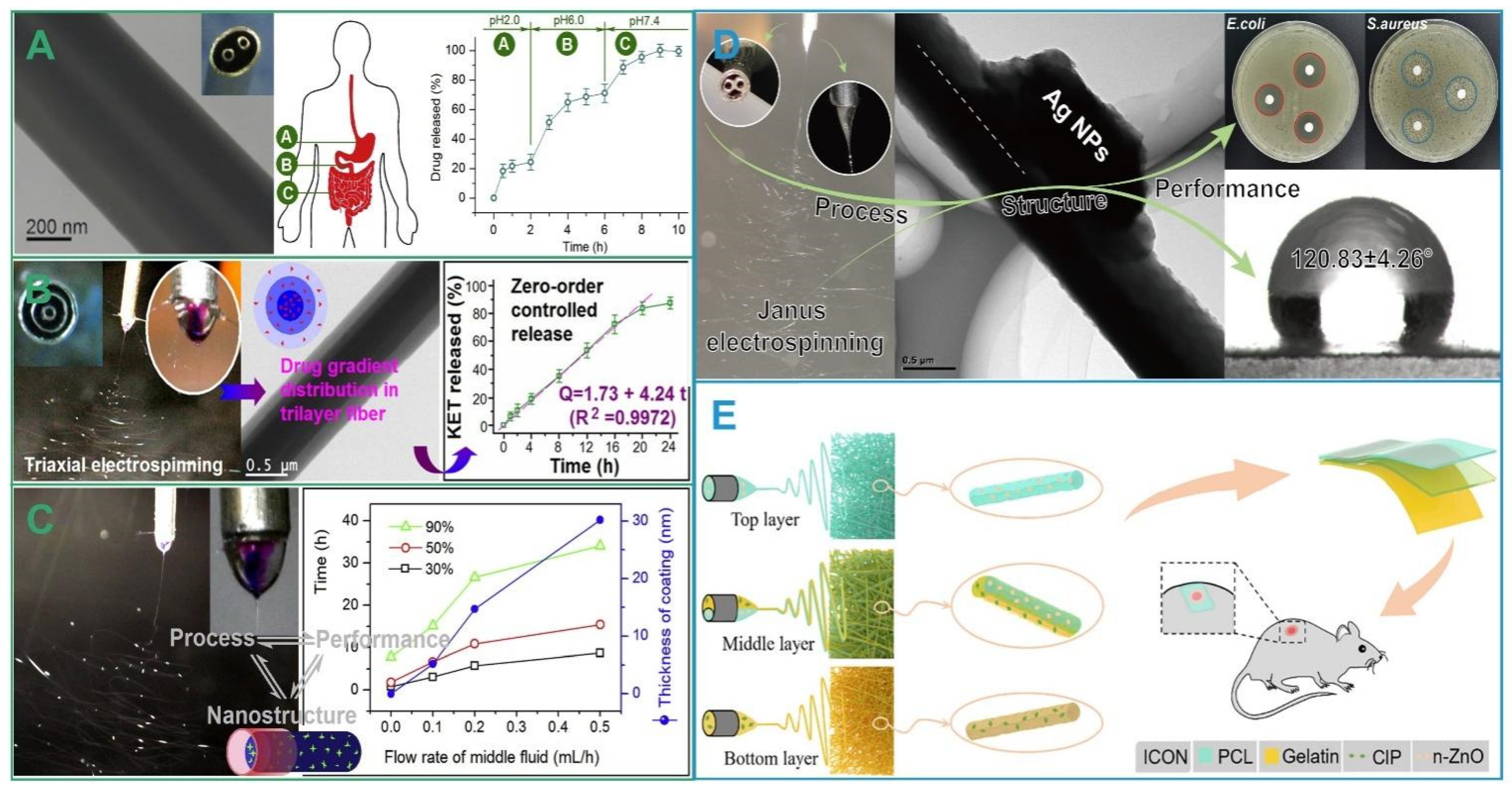 Biomolecules 12 01254 g008