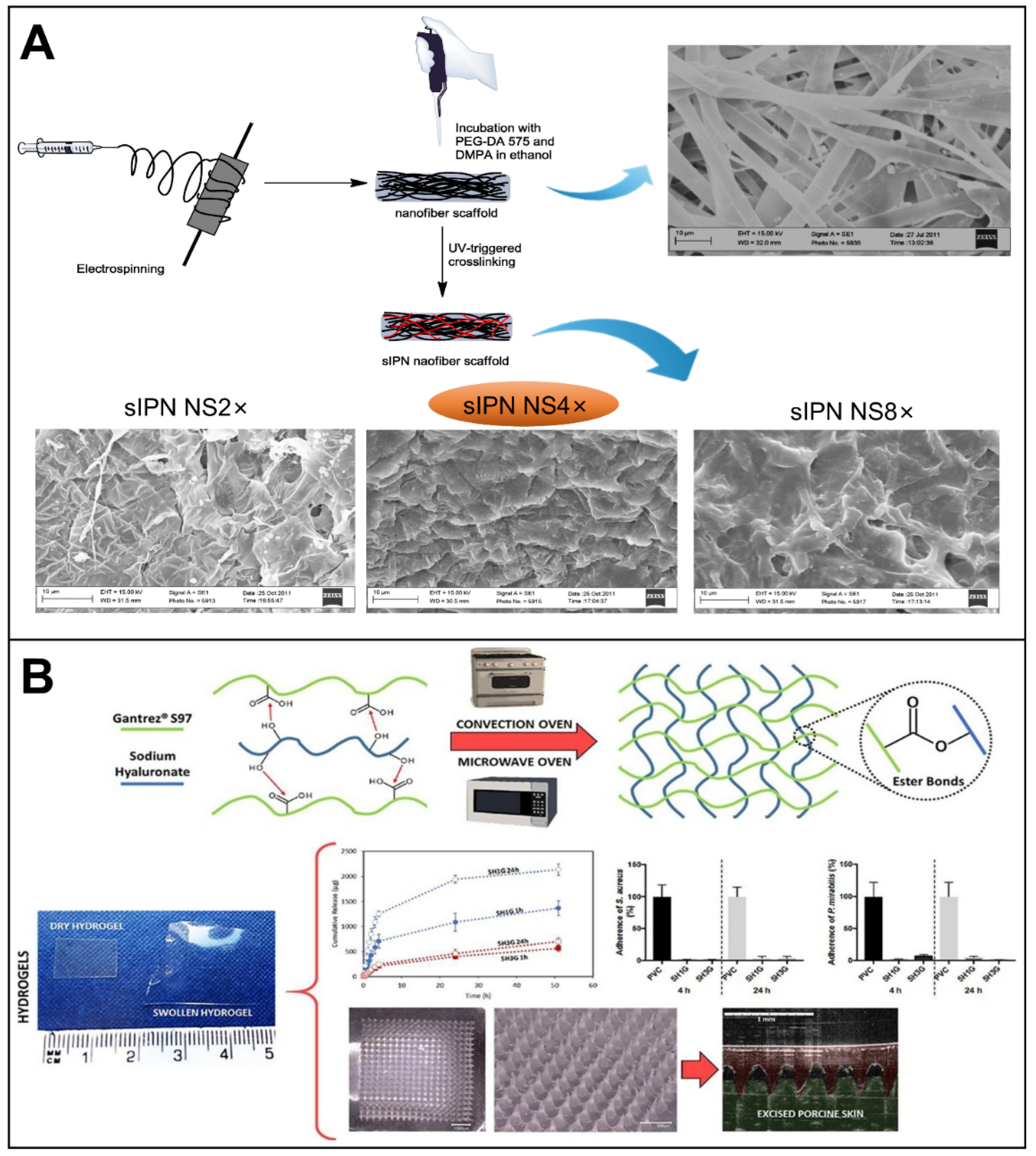 Biomolecules 12 01254 g014