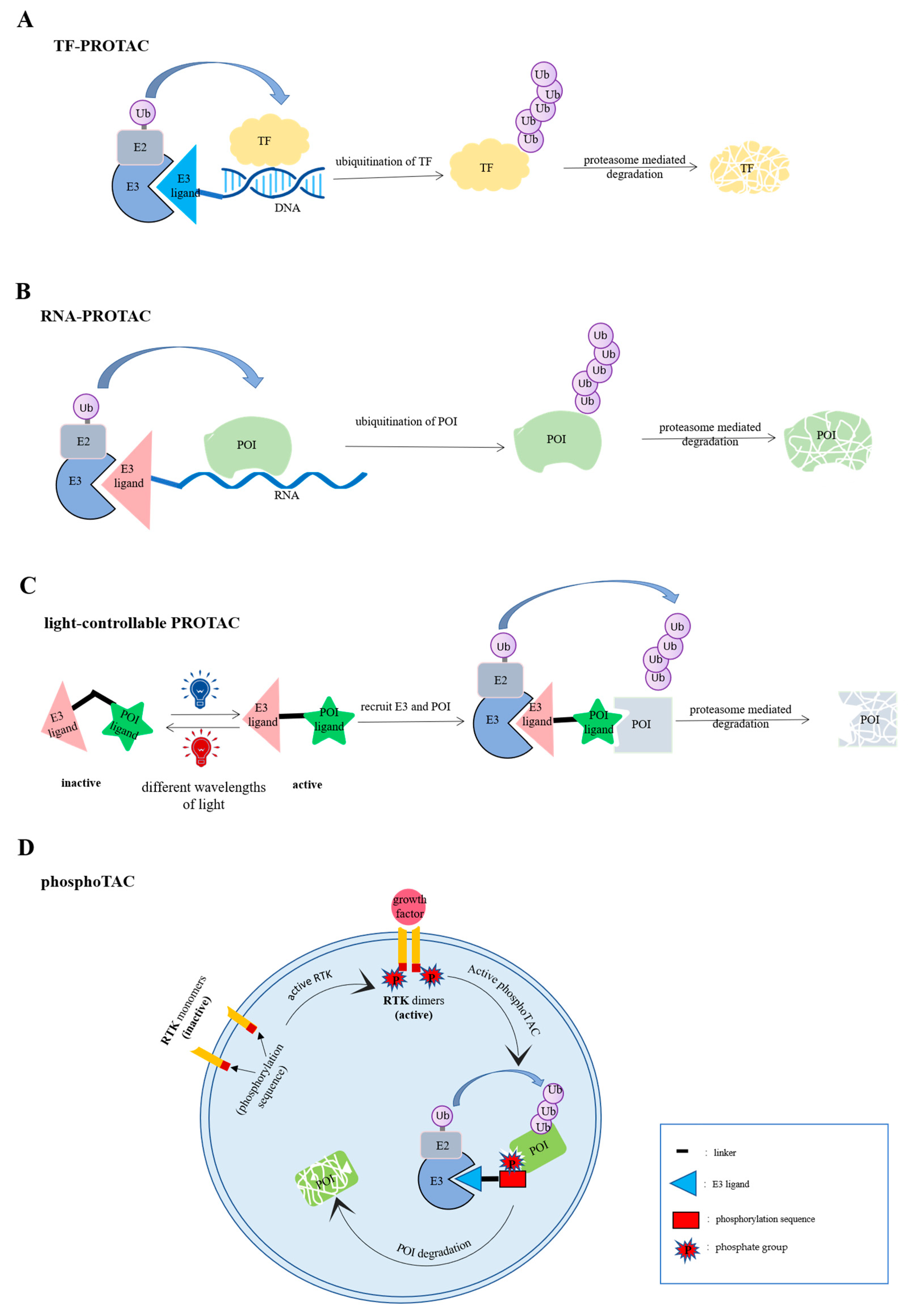 Biomolecules 12 01257 g002
