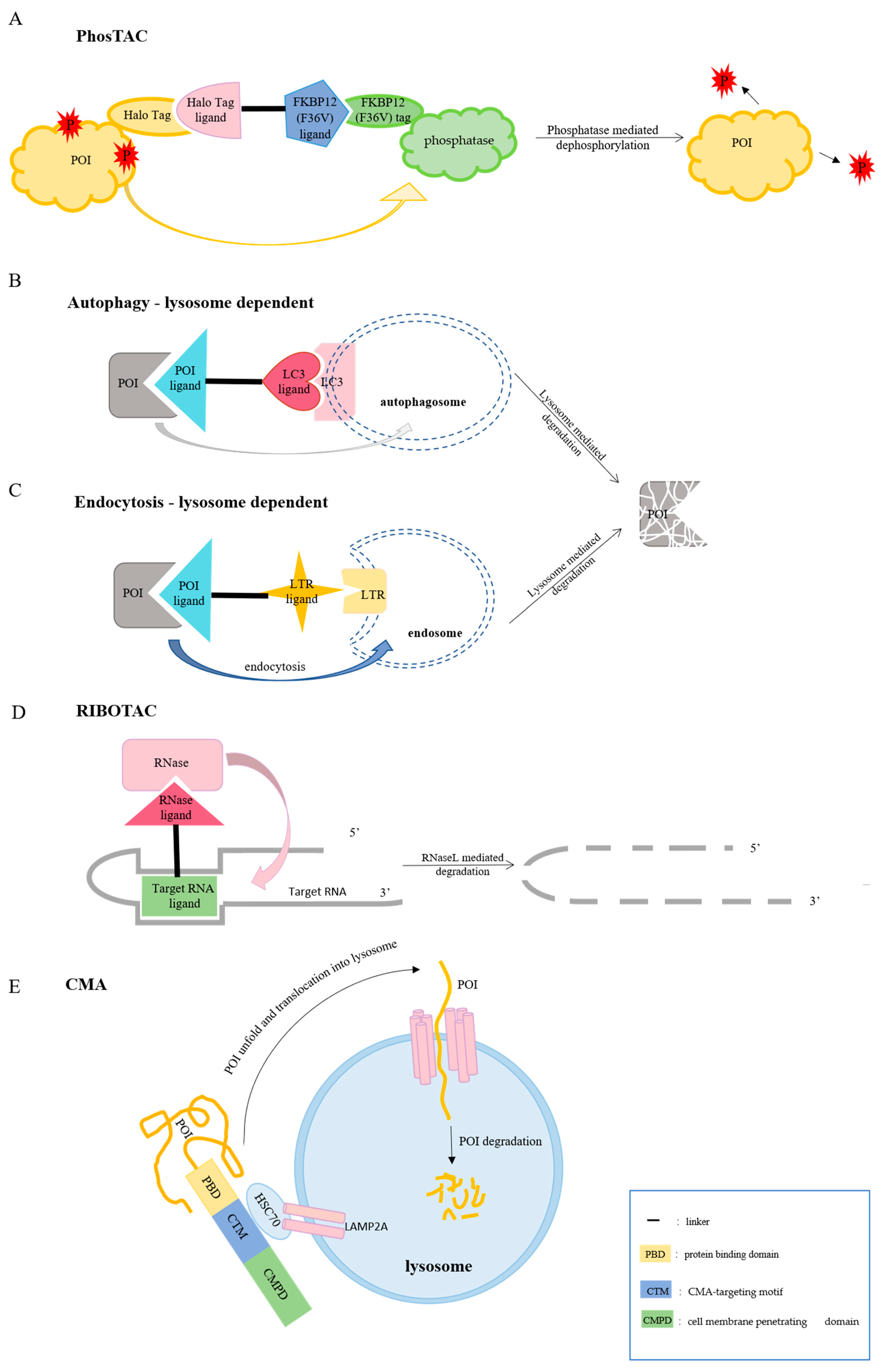 Biomolecules 12 01257 g003