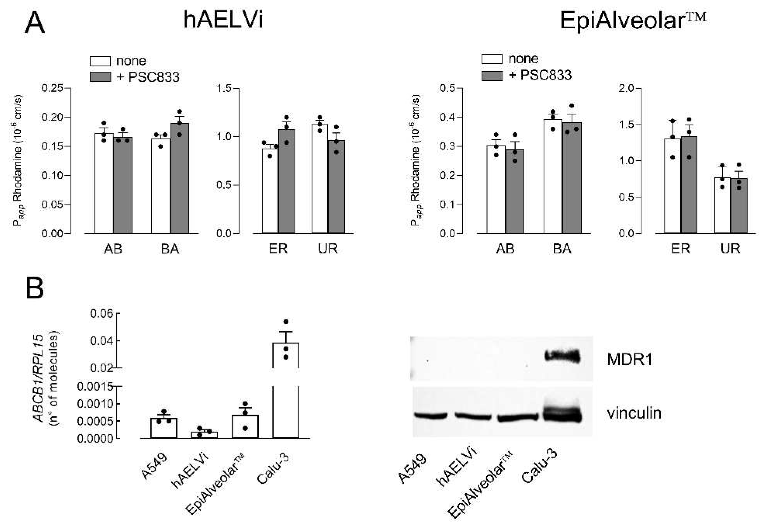 Biomolecules 12 01260 g002