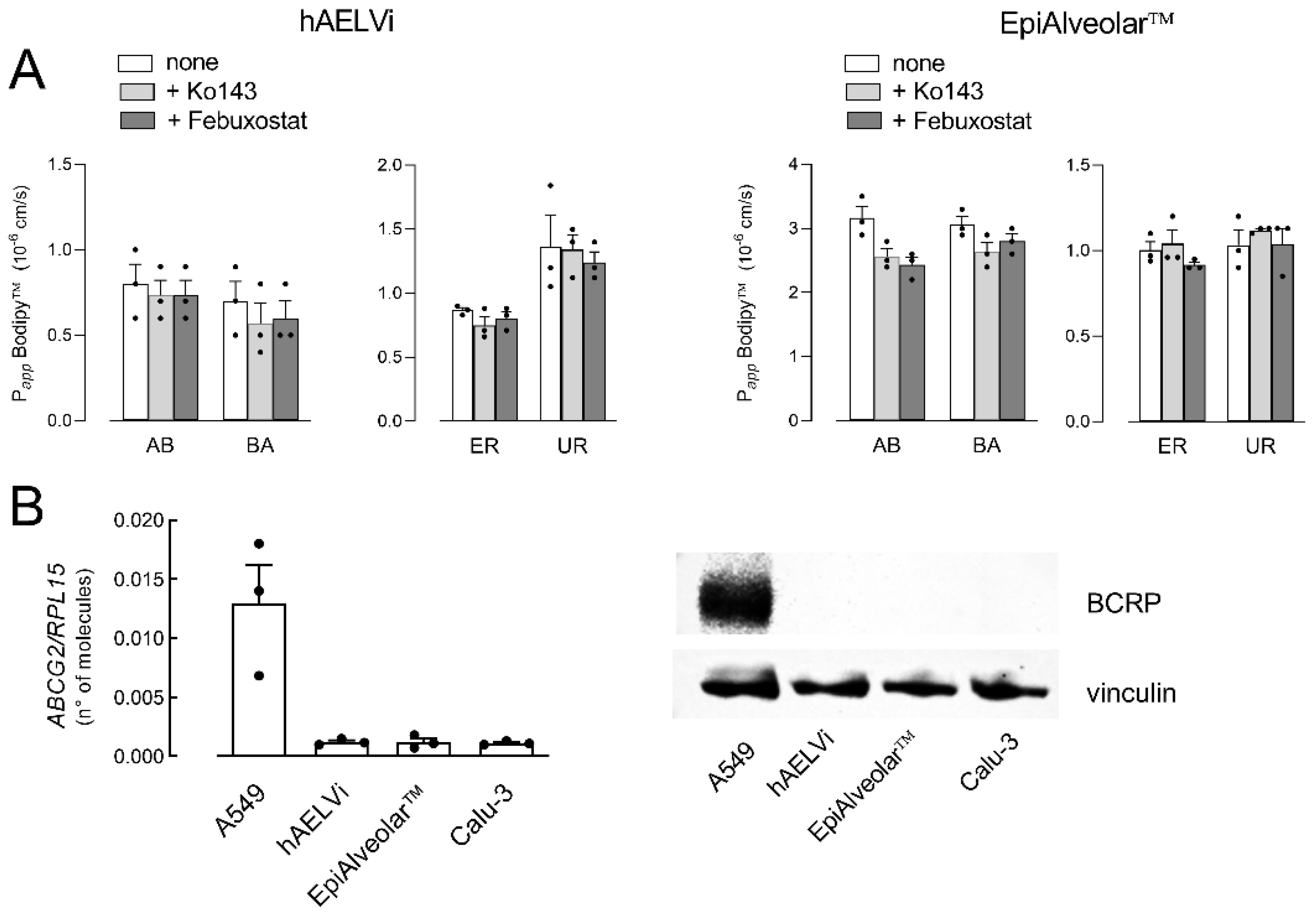 Biomolecules 12 01260 g003
