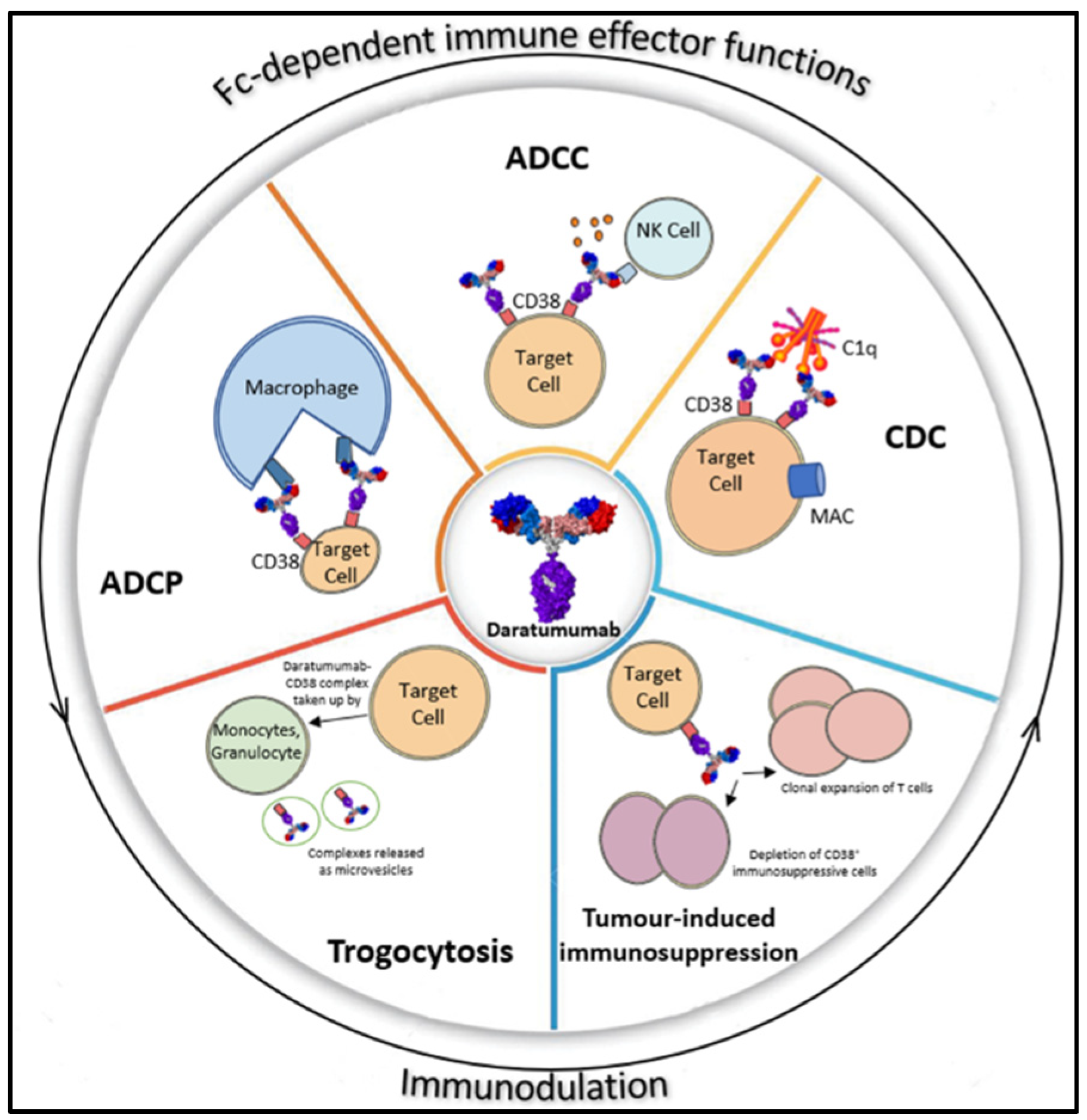 Biomolecules 12 01261 g002 Biomolecules 12 01261 g002