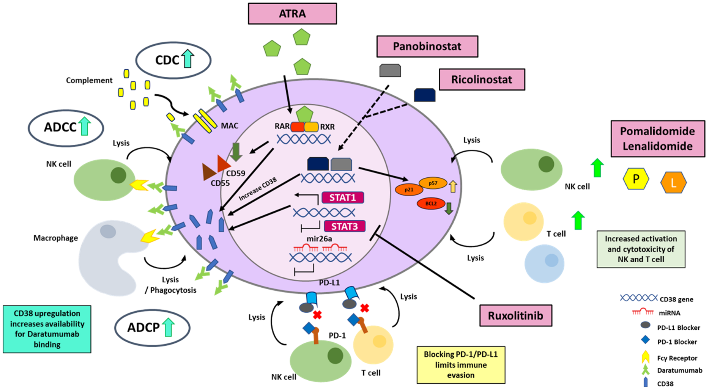 Biomolecules 12 01261 g003 Biomolecules 12 01261 g003