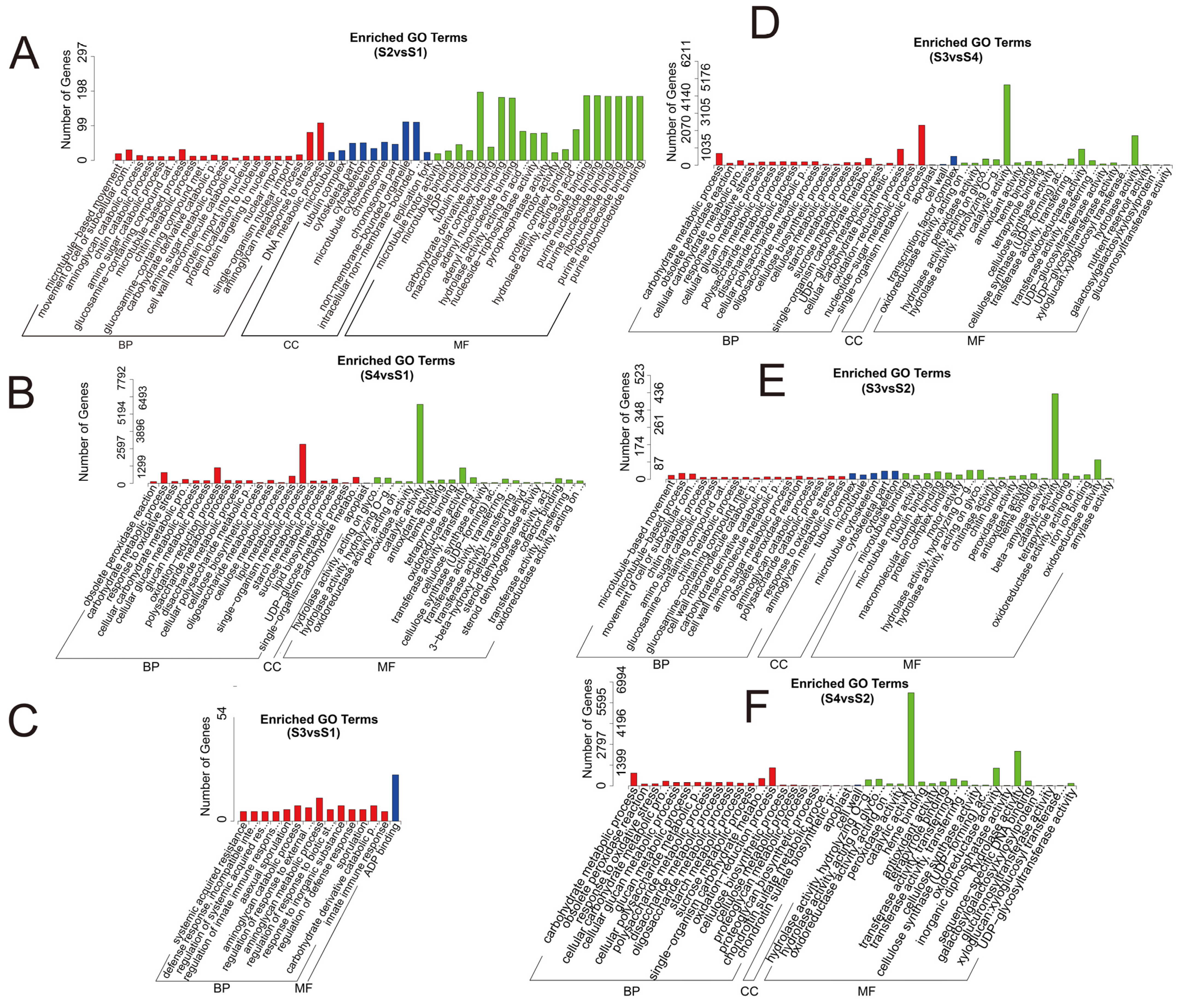 Biomolecules 12 01264 g005 Biomolecules 12 01264 g005